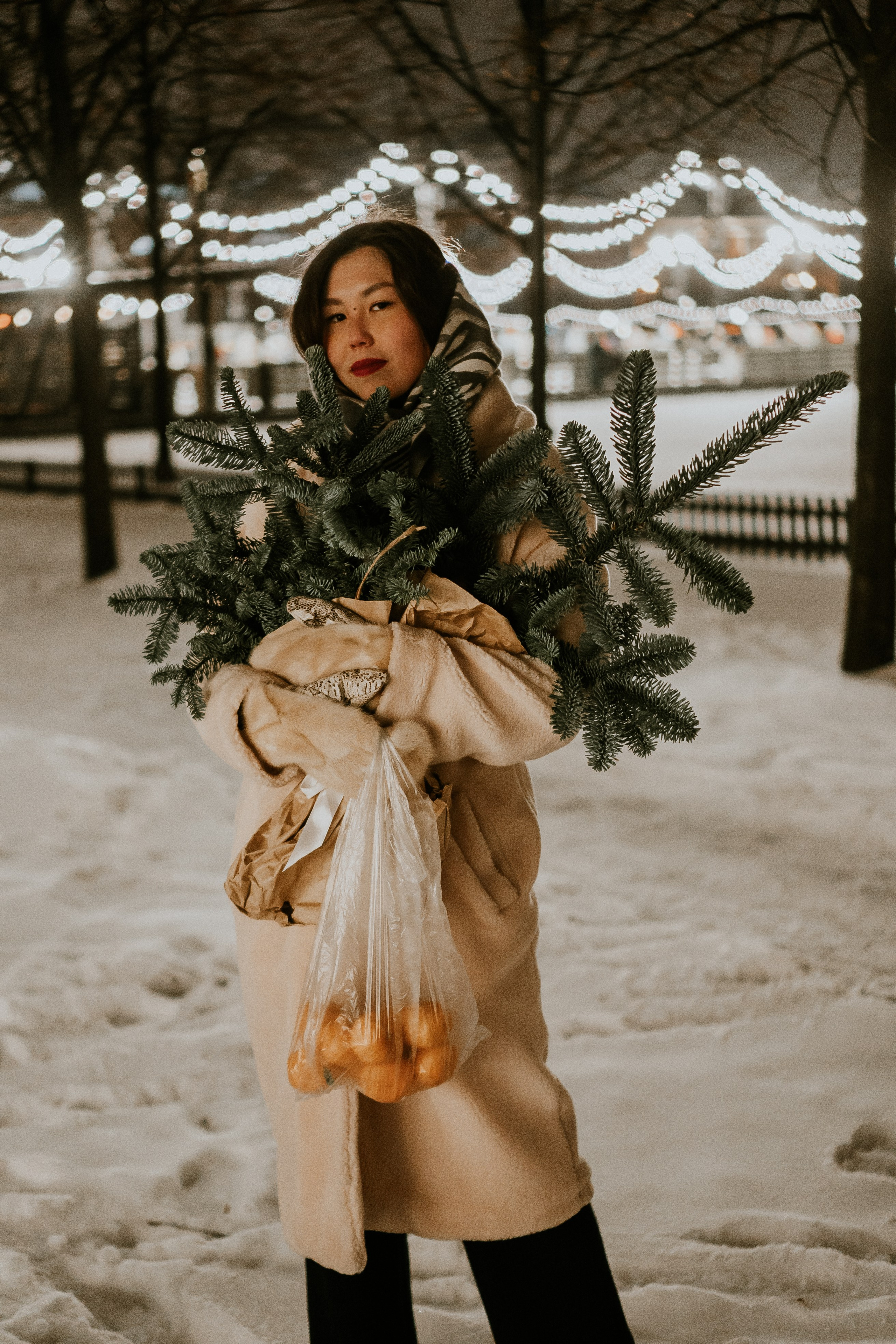 Зимняя сказка в Новой Голандии. Профессиональный фотограф, Санкт-Петербург — Виктория Богомолова
