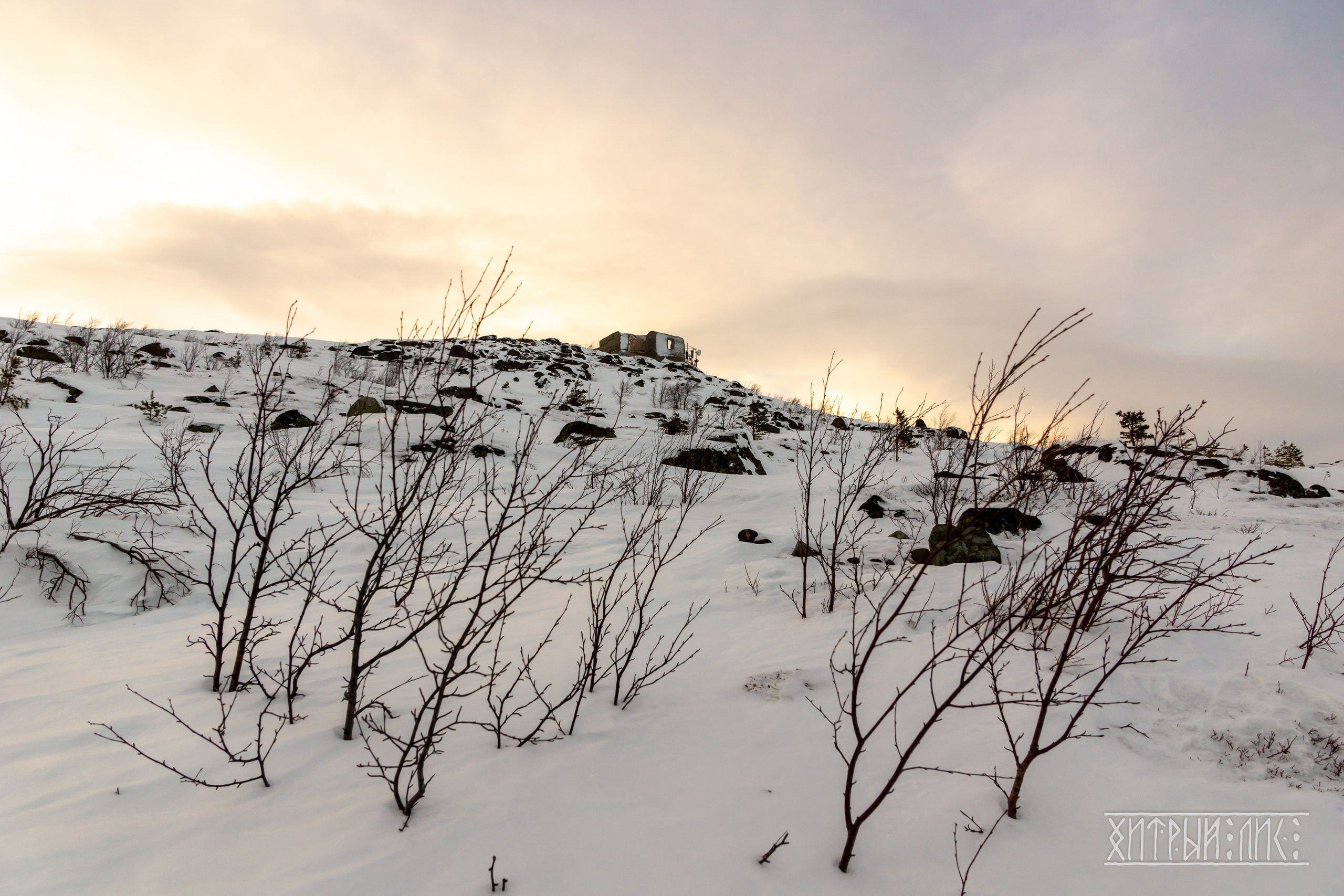 Мурманская обл. Фотограф-путешественник Самойлов Максим «Sly Fox»