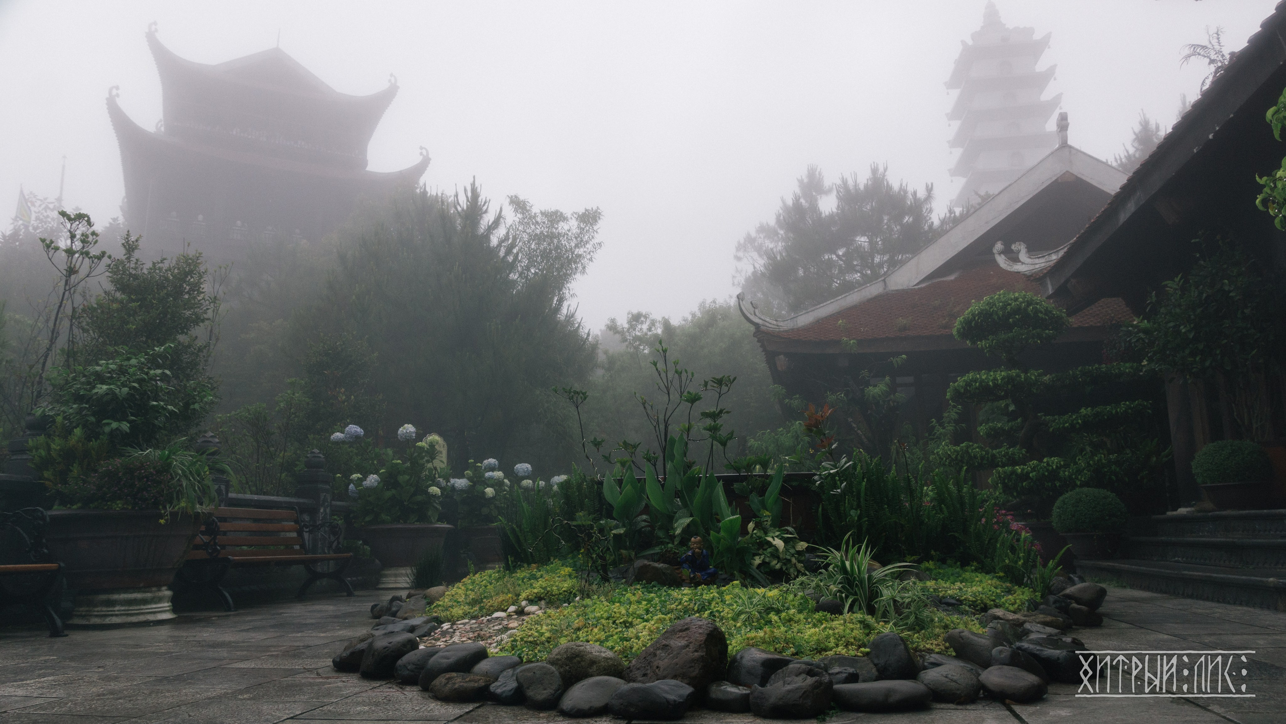 Вьетнам. Фотограф-путешественник Самойлов Максим «Sly Fox»