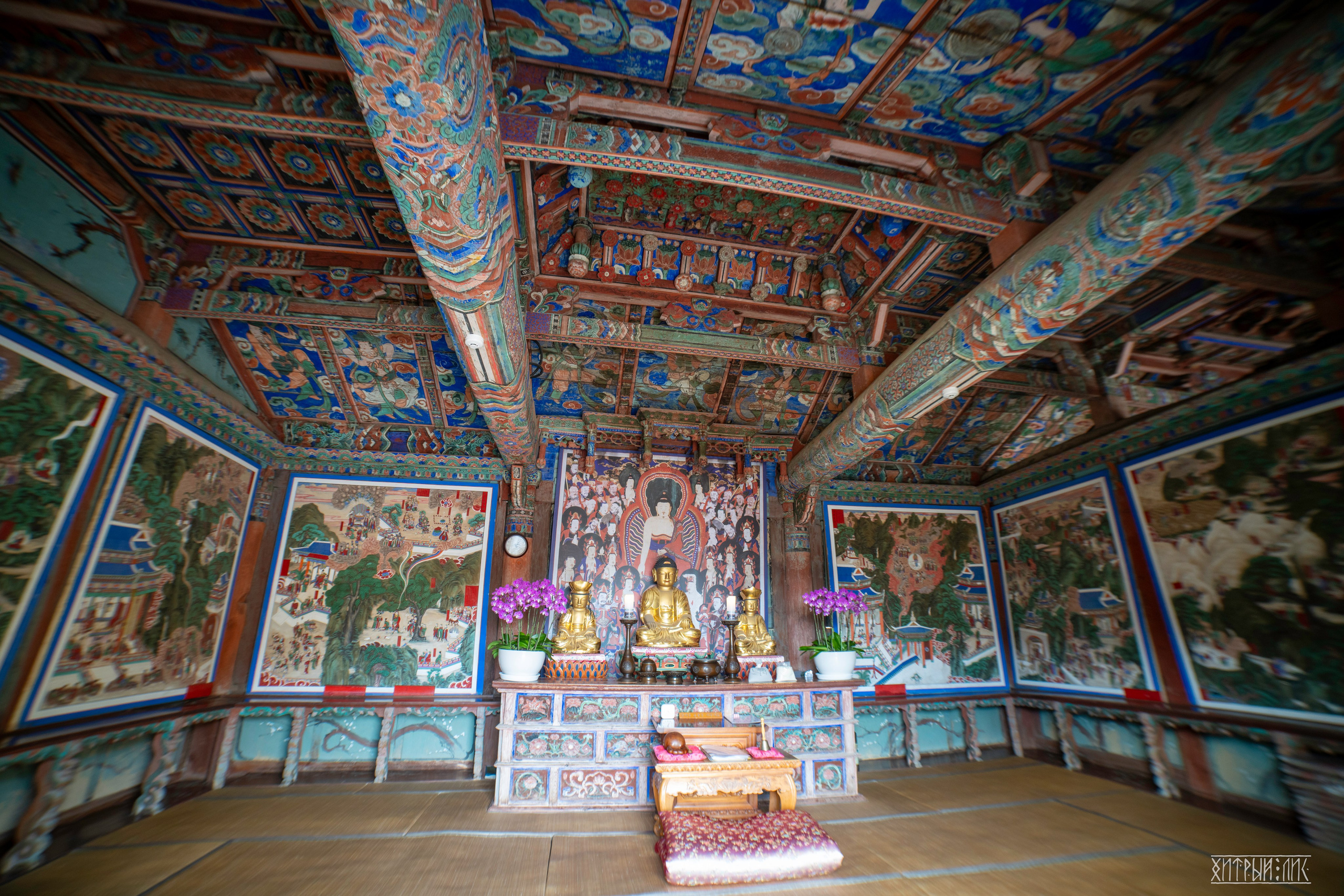 Южная Корея. Фотограф-путешественник Самойлов Максим «Sly Fox»