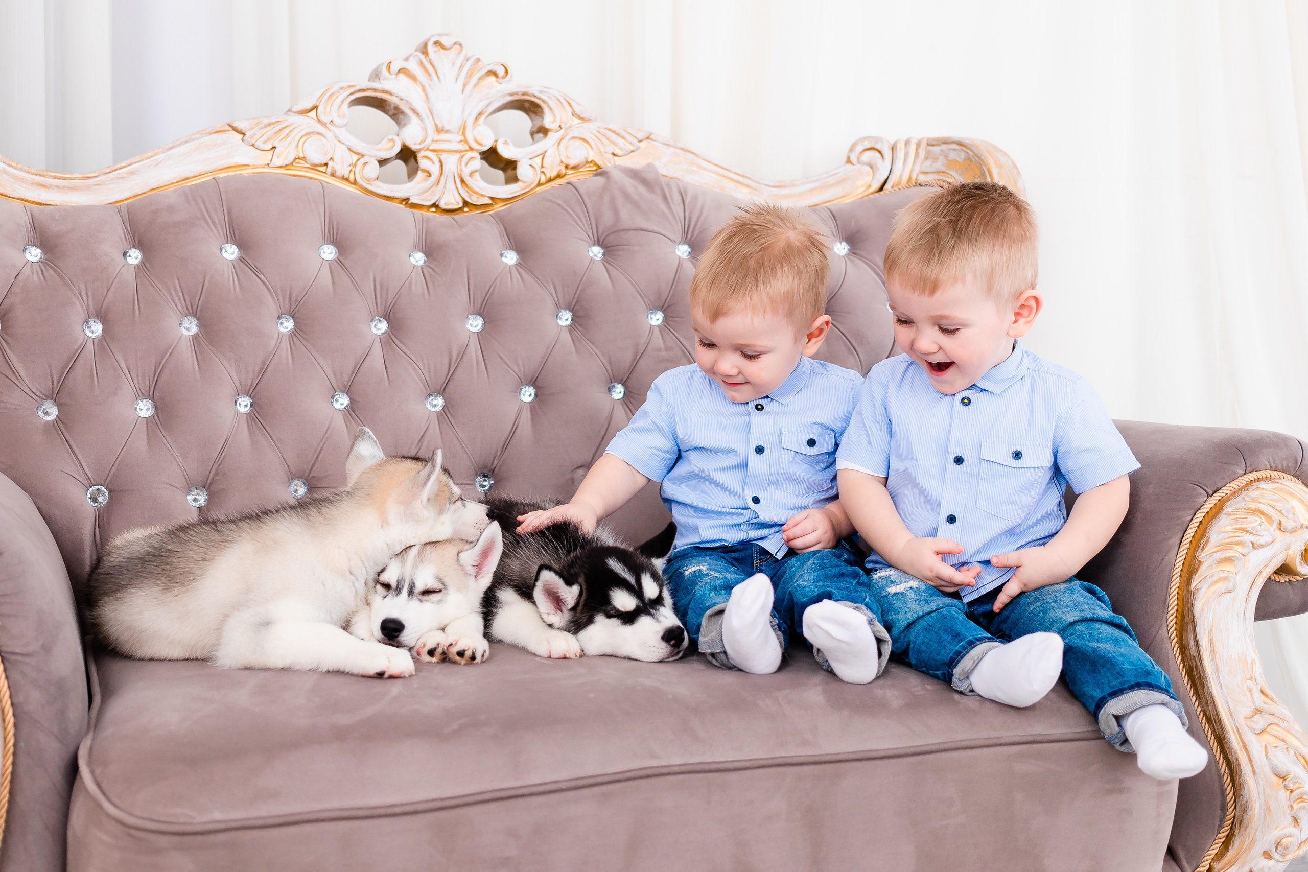 Пушистики. Семейный и свадебный фотограф в Чебоксарах и Новочебоксарске Ирина Юрь