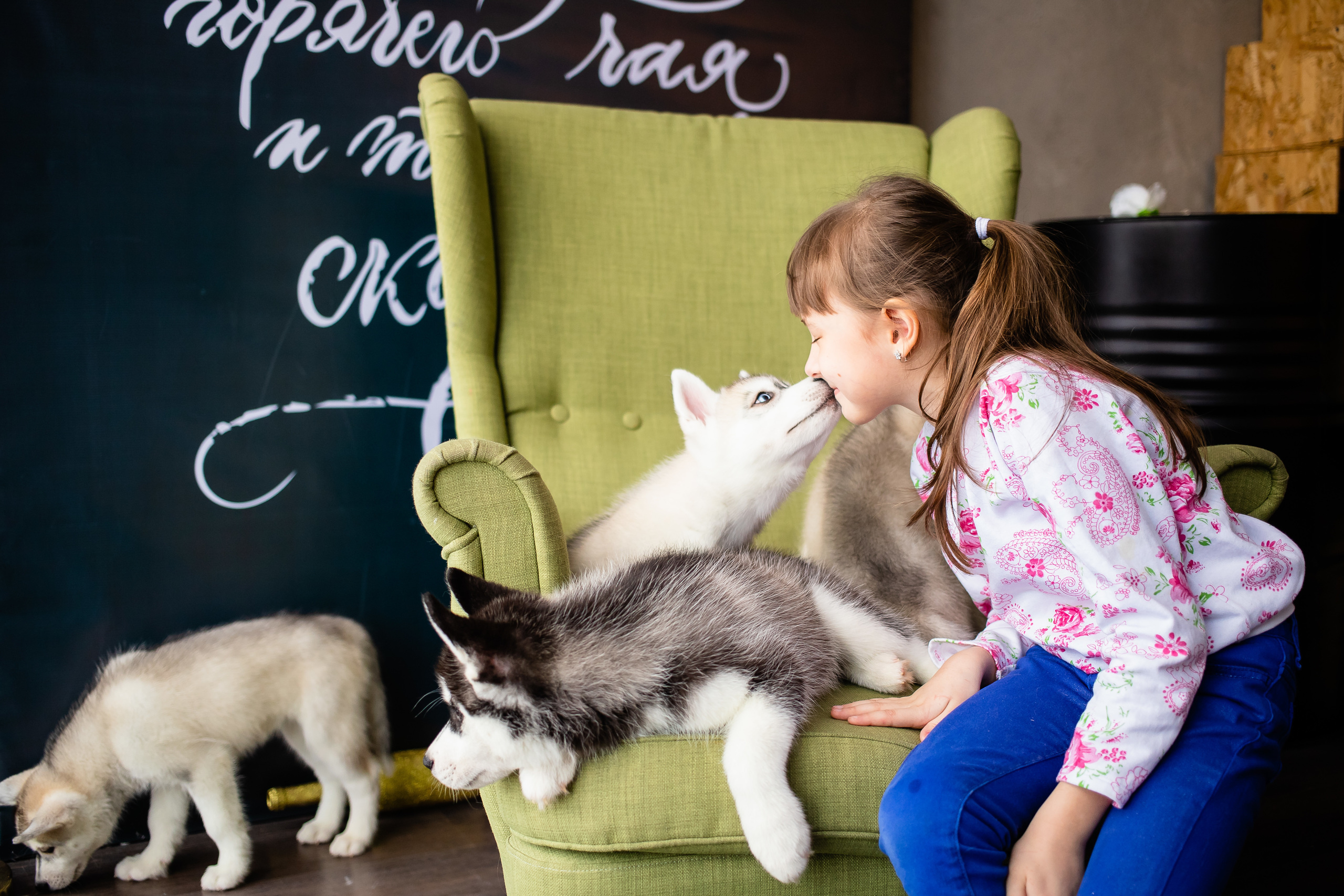 Пушистики. Семейный и свадебный фотограф в Чебоксарах и Новочебоксарске Ирина Юрь