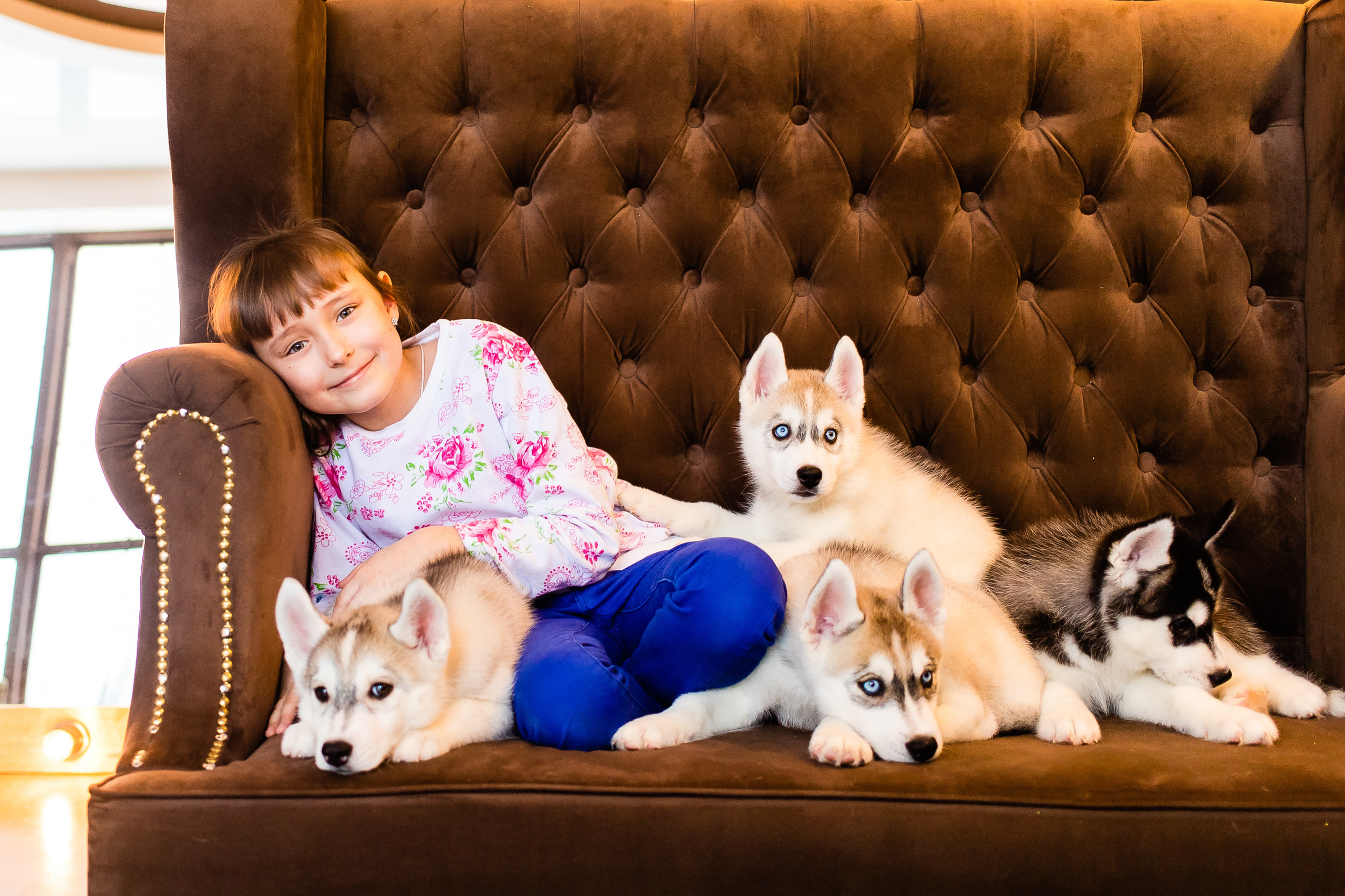 Пушистики. Семейный и свадебный фотограф в Чебоксарах и Новочебоксарске Ирина Юрь