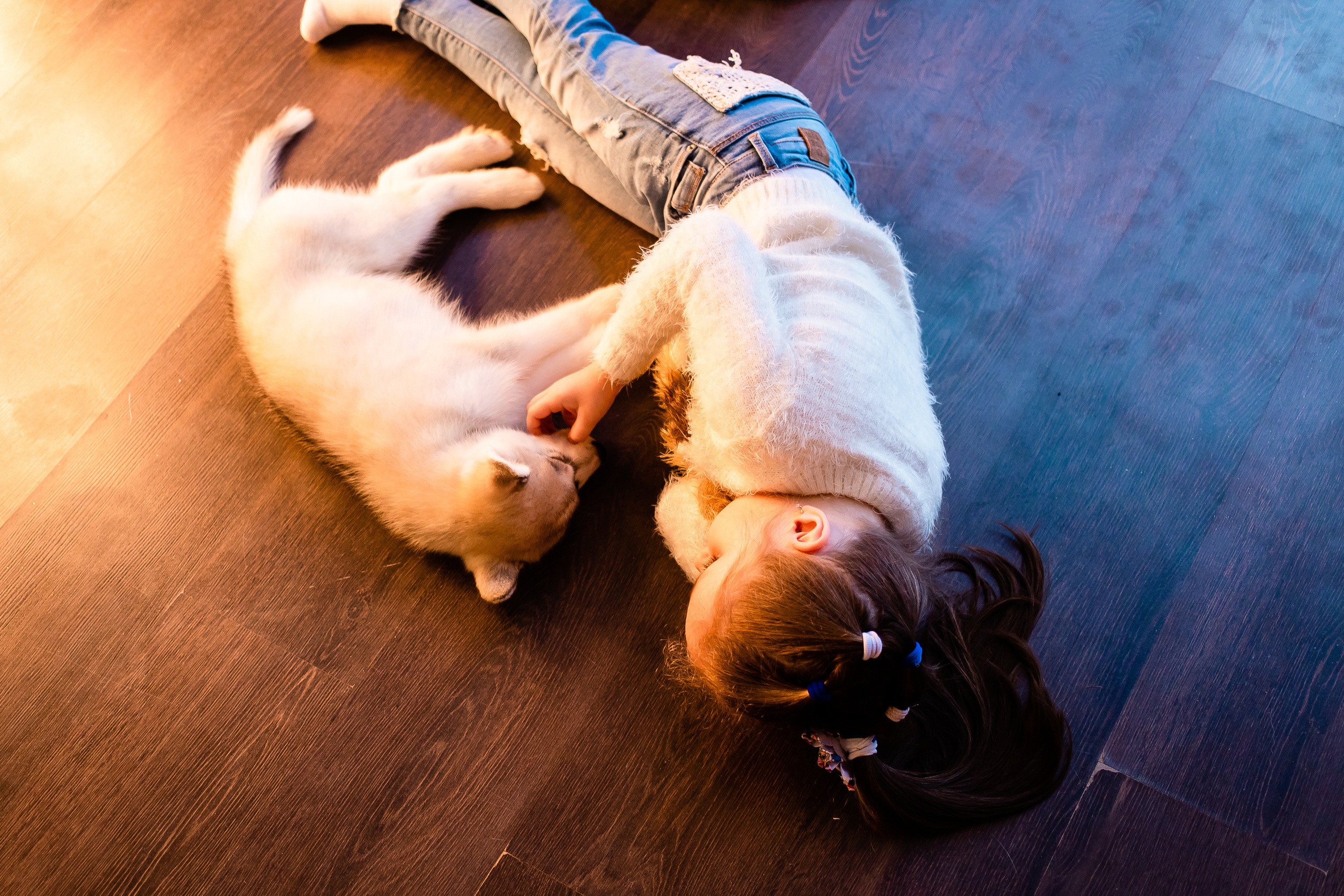 Пушистики. Семейный и свадебный фотограф в Чебоксарах и Новочебоксарске Ирина Юрь