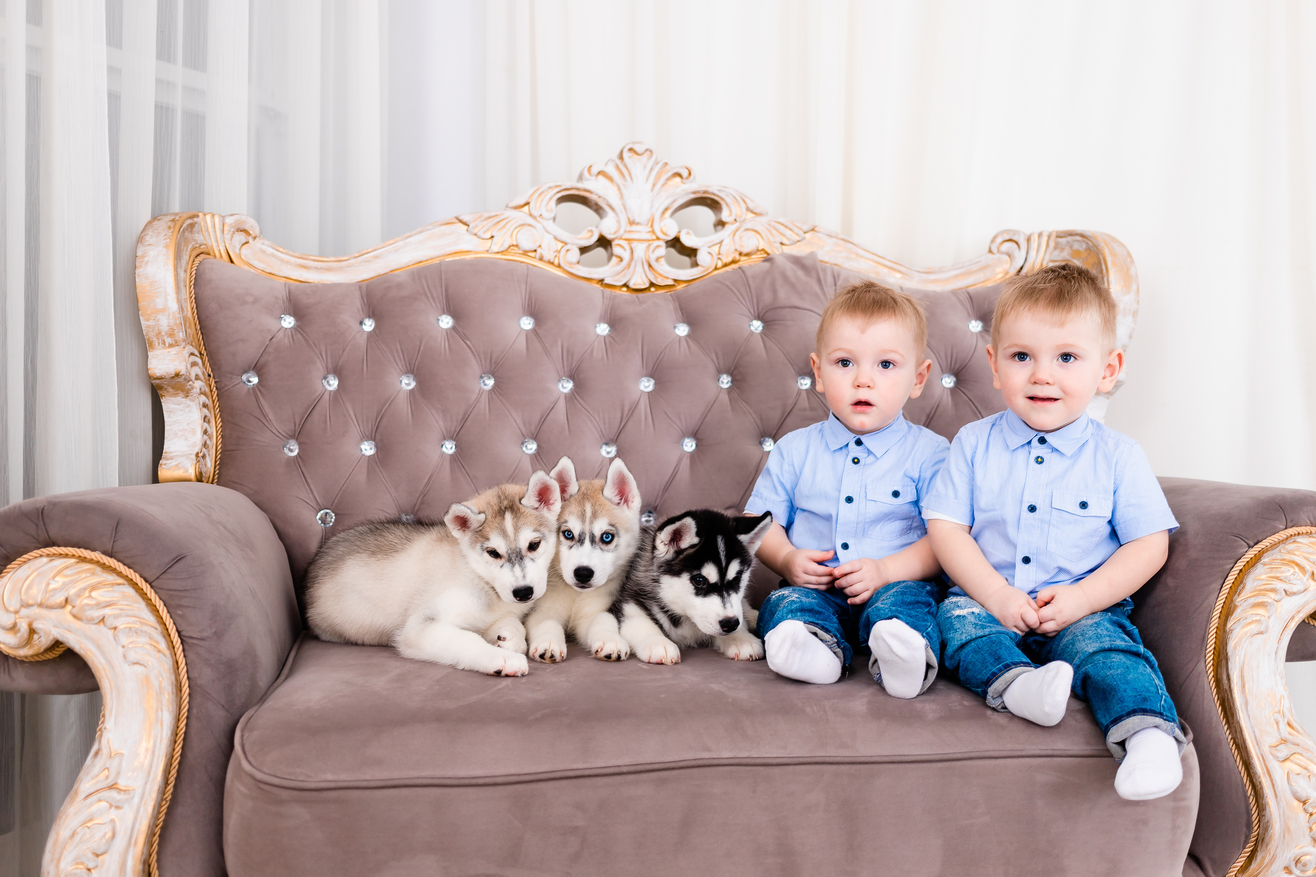 Пушистики. Семейный и свадебный фотограф в Чебоксарах и Новочебоксарске Ирина Юрь