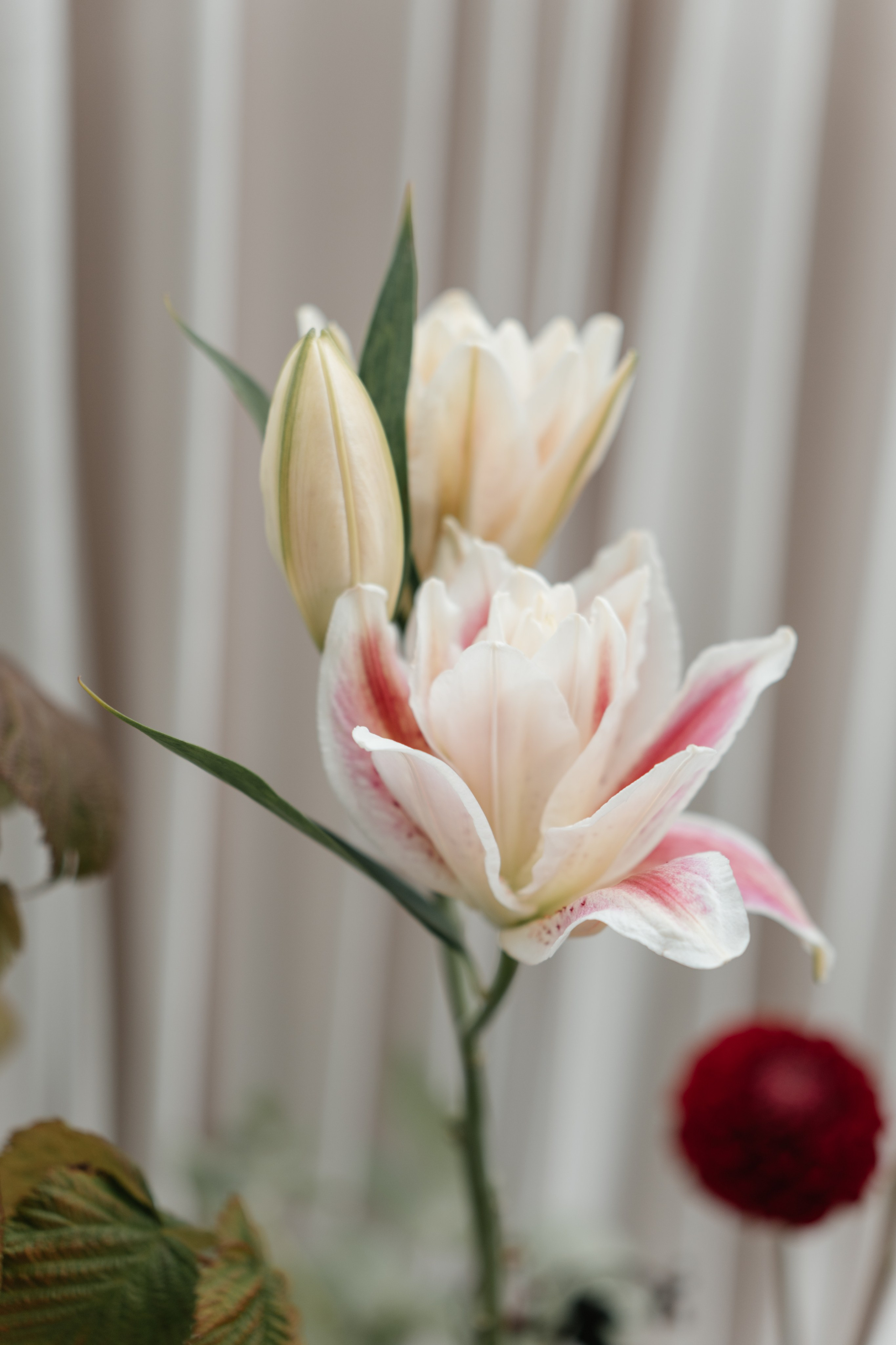 DENIS & MARIA. Свадебное ФОТО & ВИДЕО Москва/Липецк