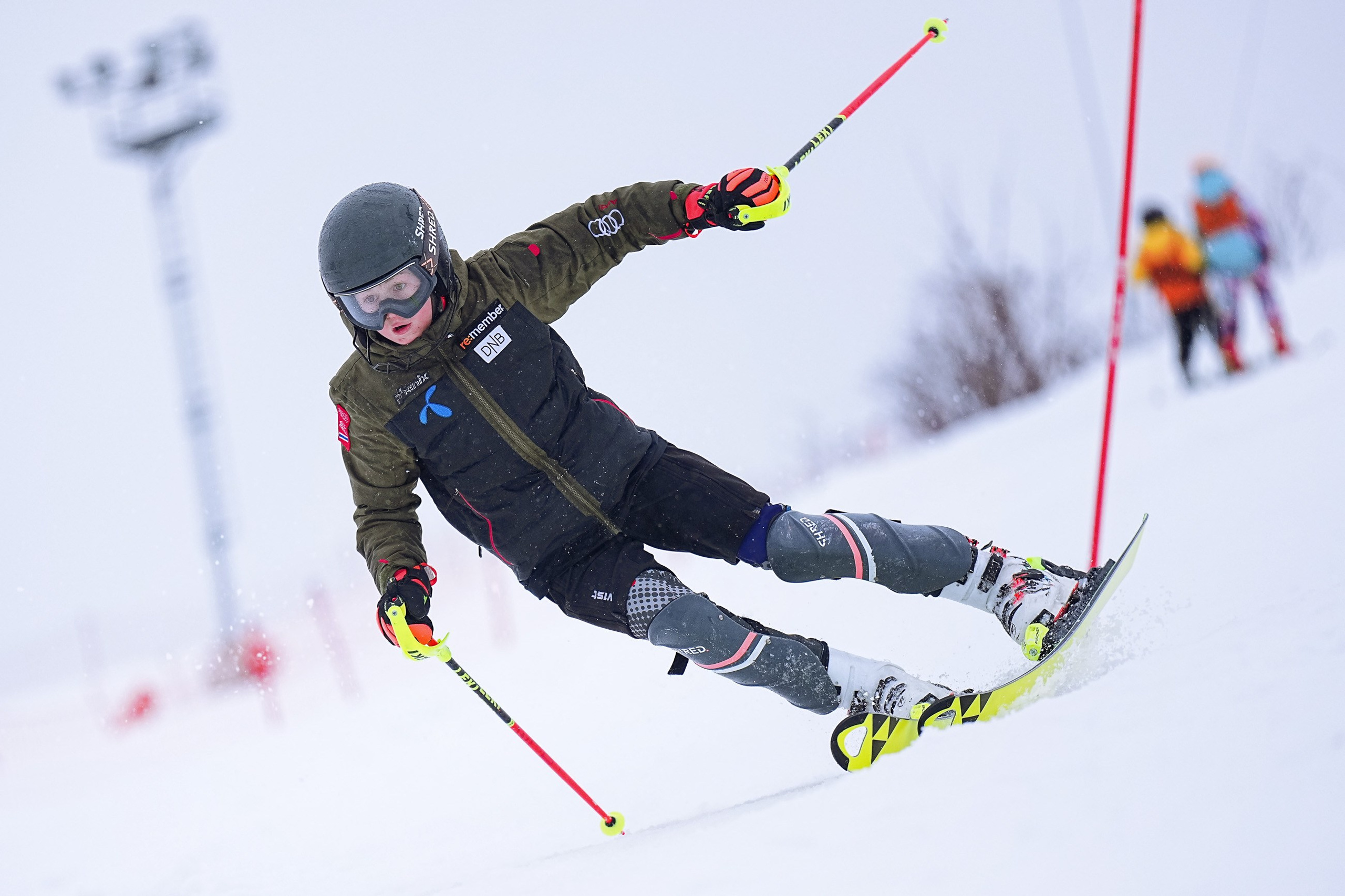 Волен. Тренировка. SL, 2024. Фотограф Студитский Евгений