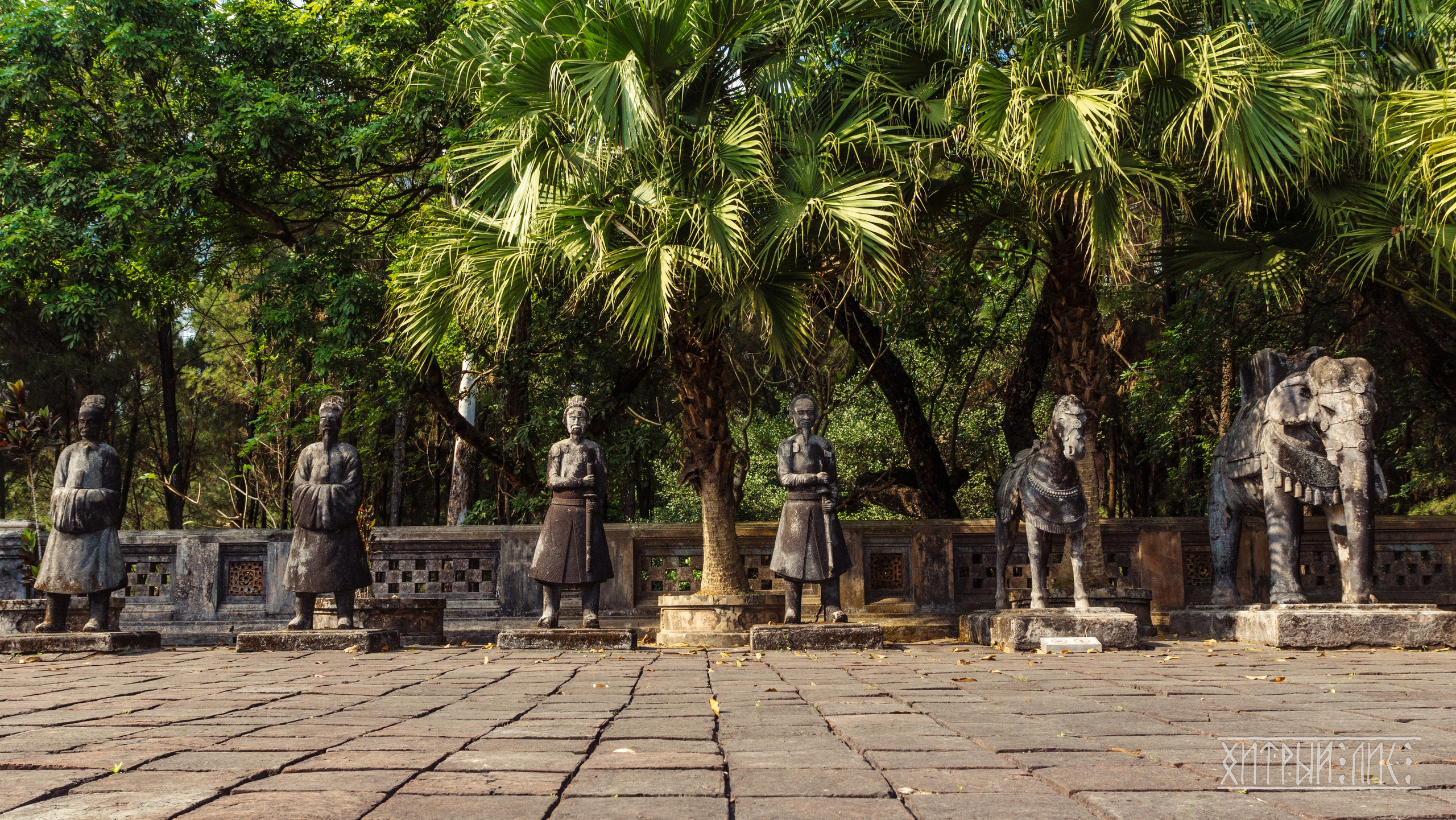 Вьетнам. Фотограф-путешественник Самойлов Максим «Sly Fox»