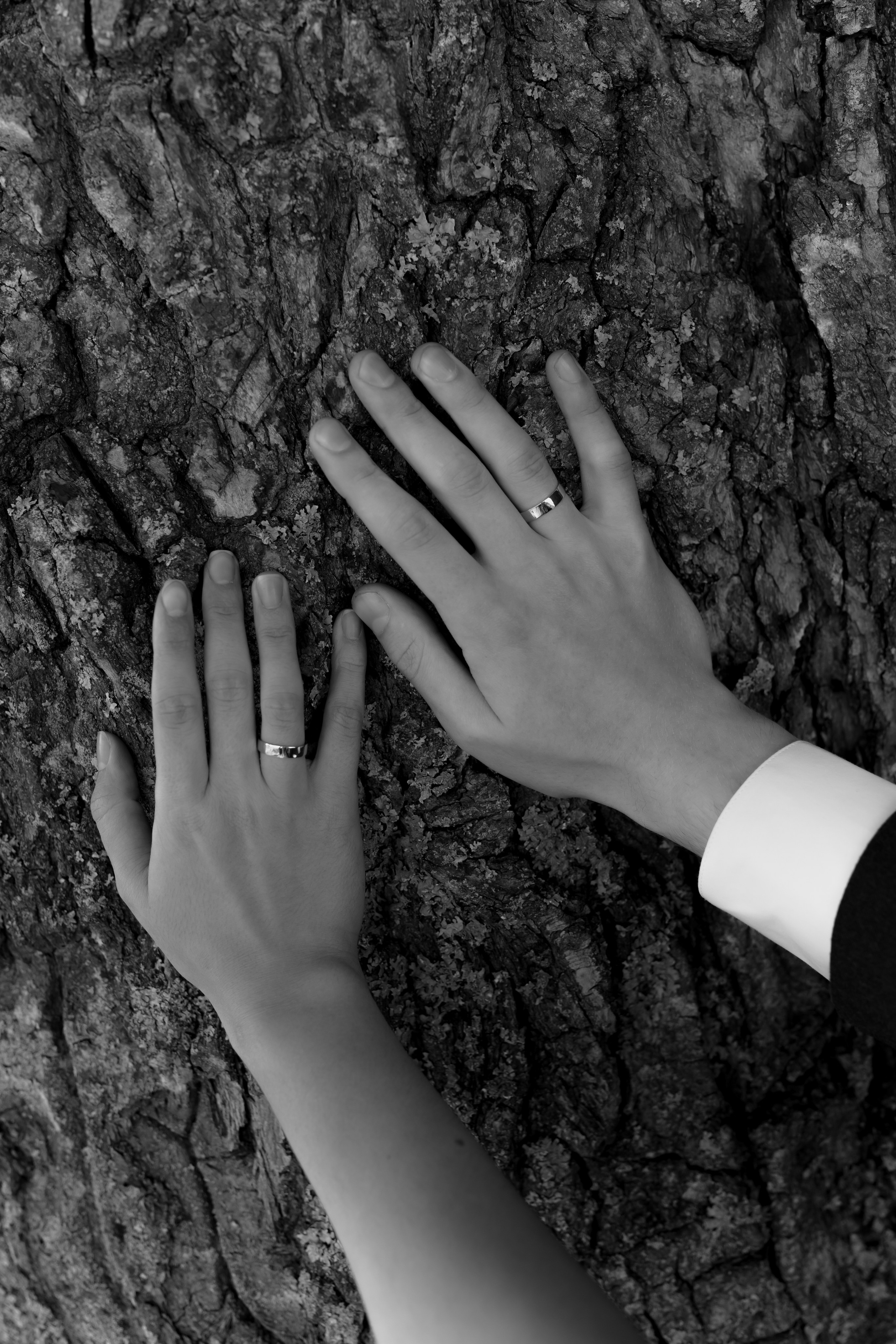 Свадьба Никиты и Алёны. Фотограф Кольчугино/Владимир/Москва Елизавета Иода