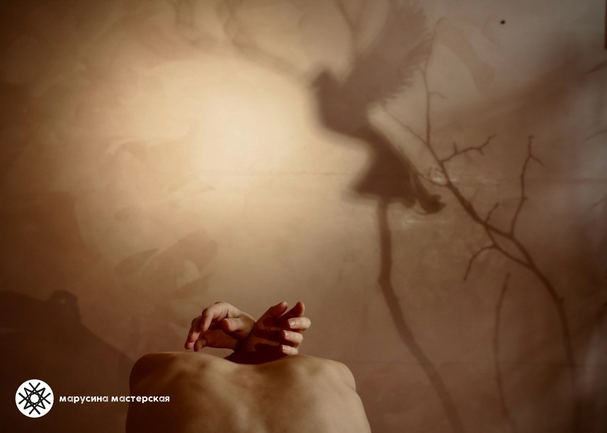 Елена Зайлер