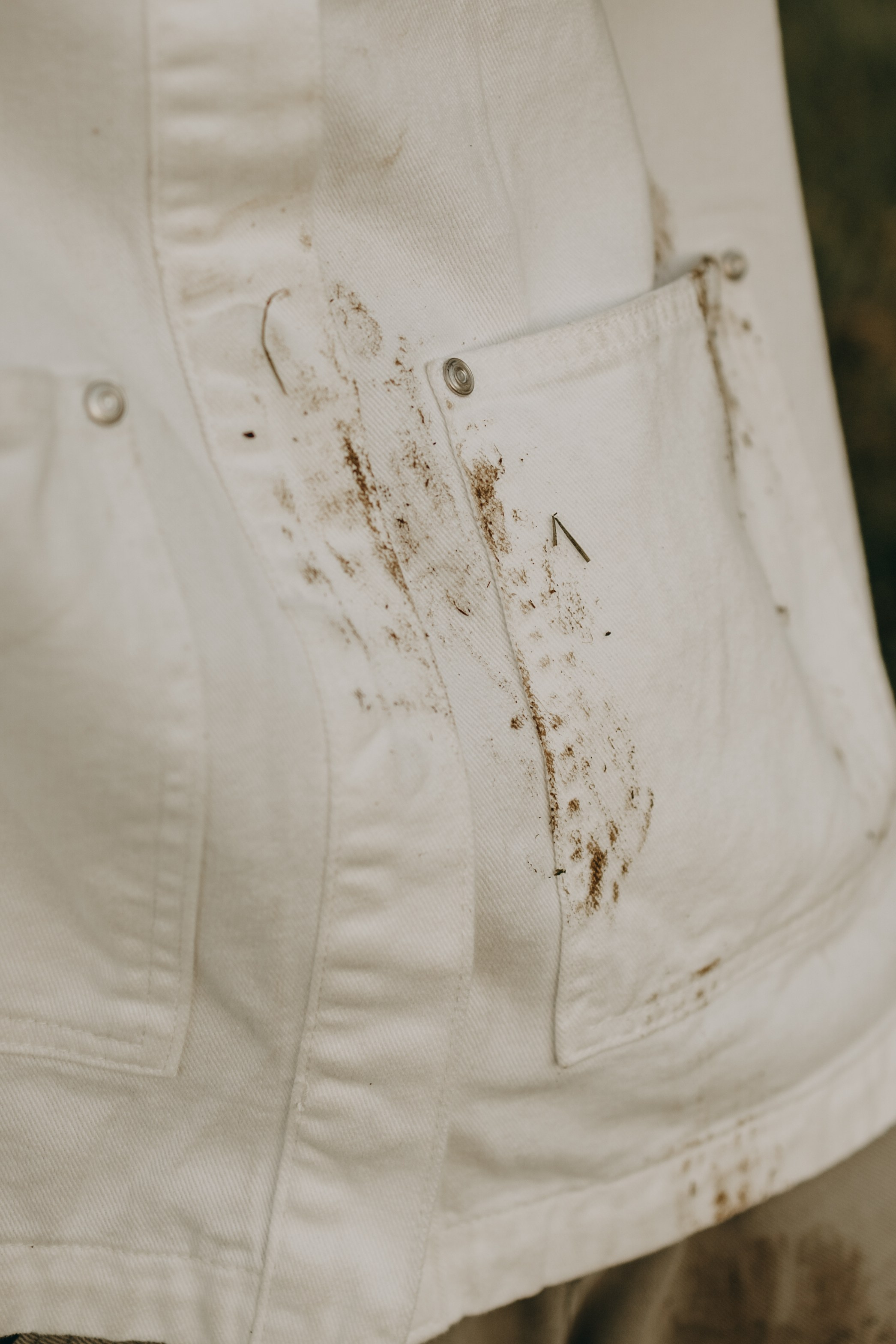 Танго и его семья. Фотограф — Анималист | Санкт-Петербург