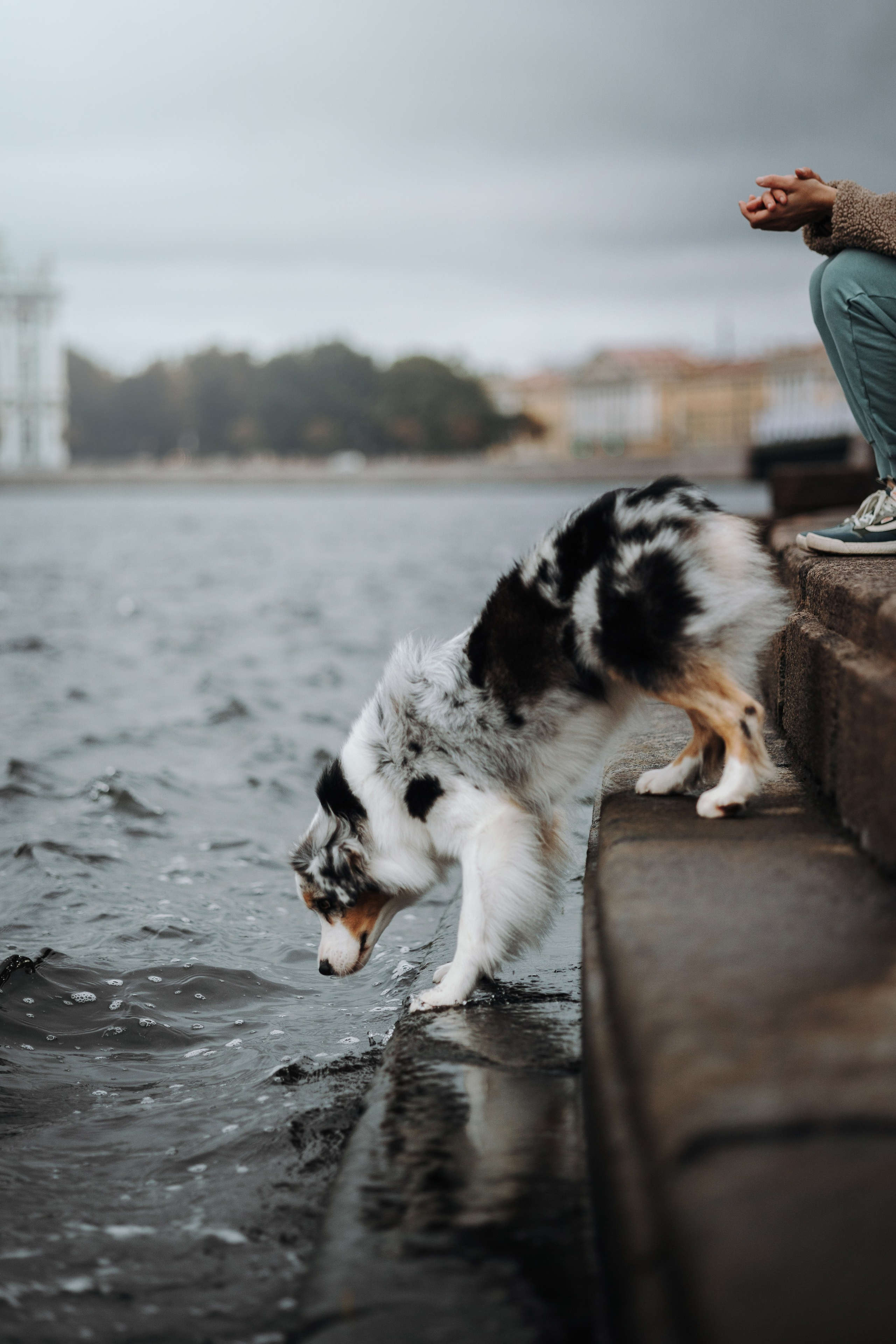 Ирина и Кайса. Фотограф — Анималист | Санкт-Петербург