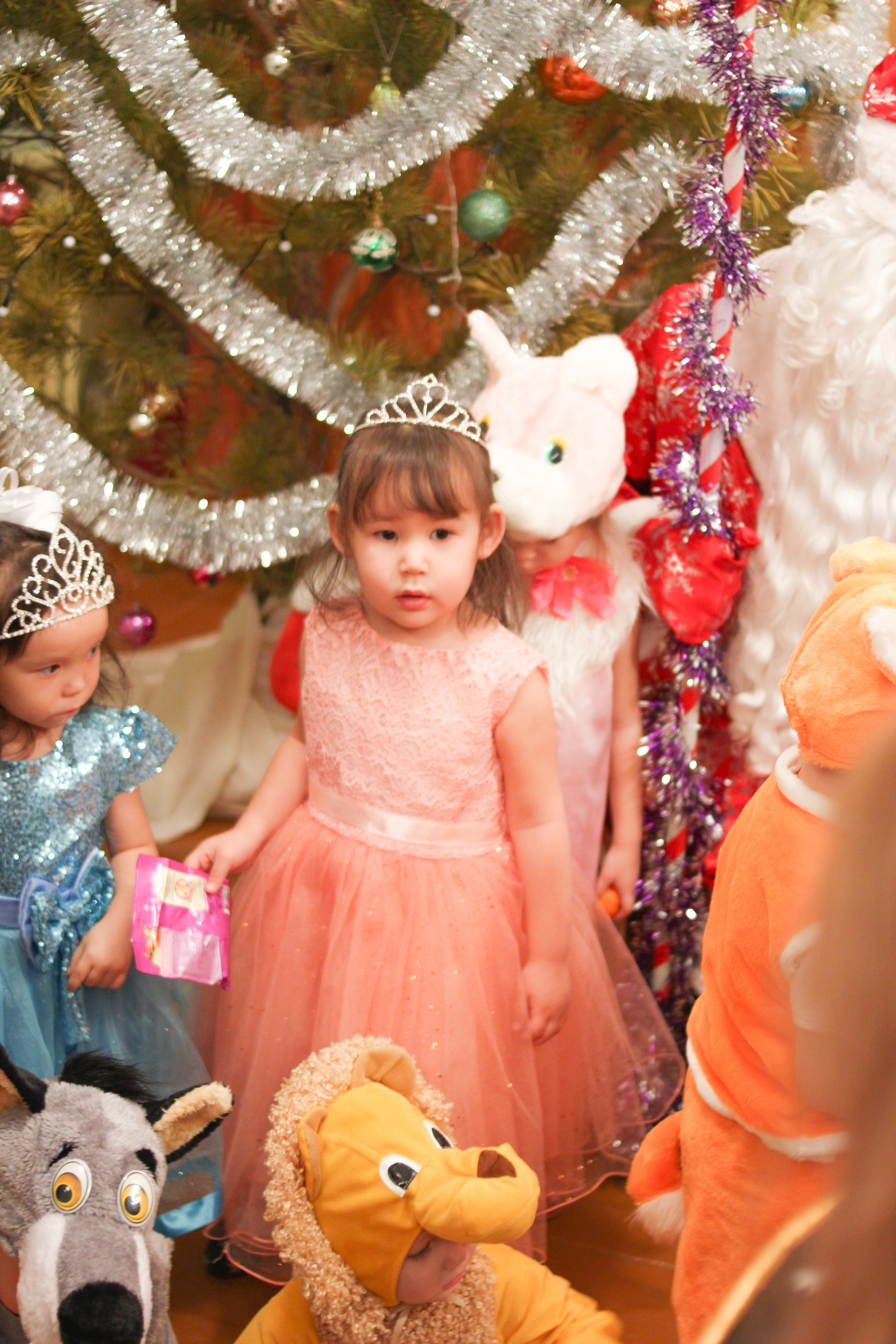 Новый Год. Фотограф в Иркутске