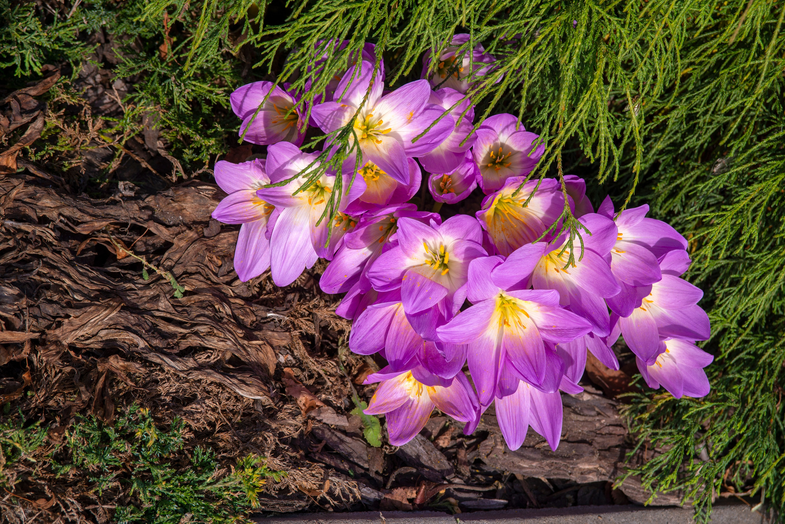 Церковь Рокрова-на-Нерли. 18 сентября 2025. Игорь Жучков. Россия увиденная глазами путешествующего фотографа