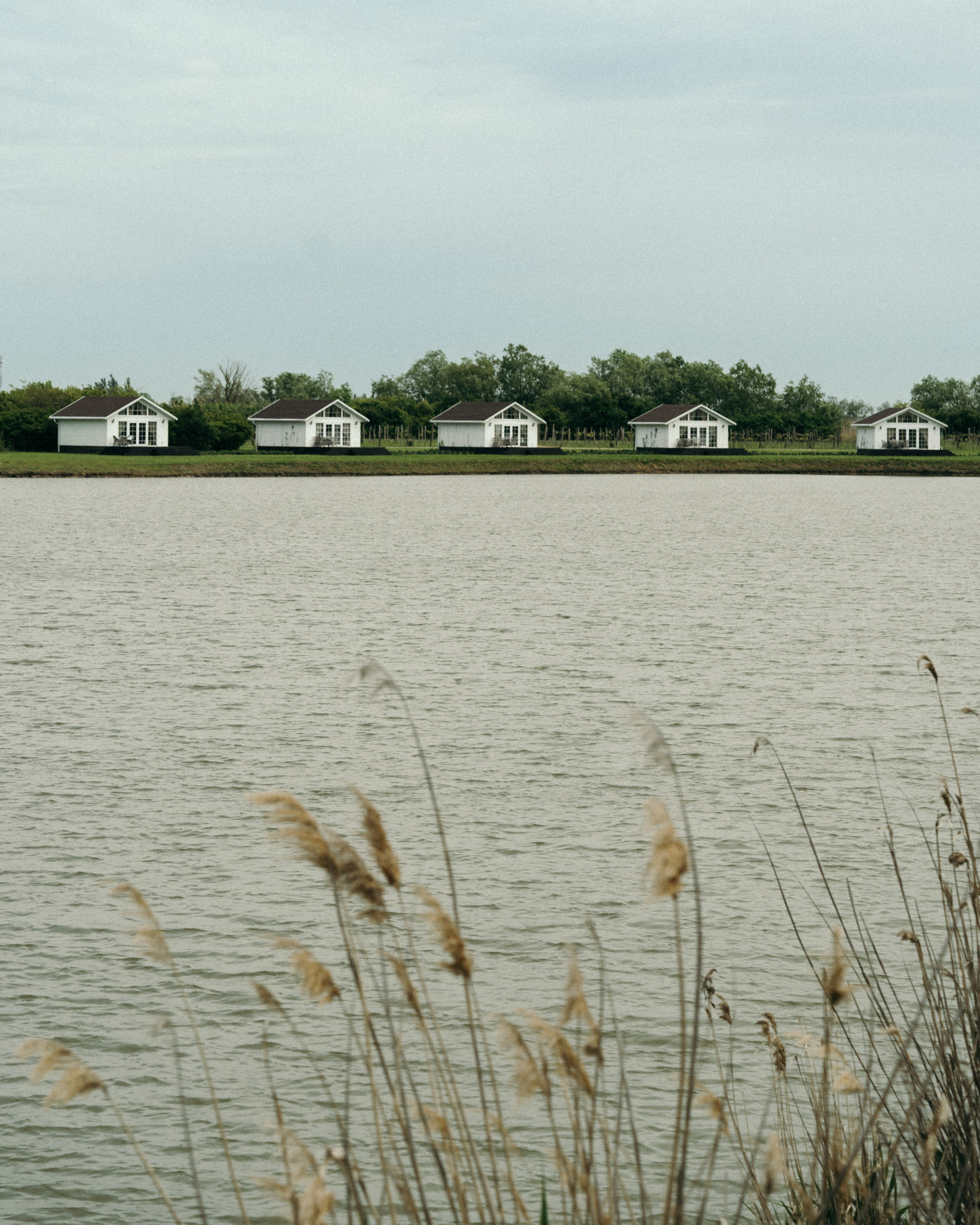 Любовь и уют. Свадебный фотограф в Краснодаре и Сочи Винидиктова Екатерина