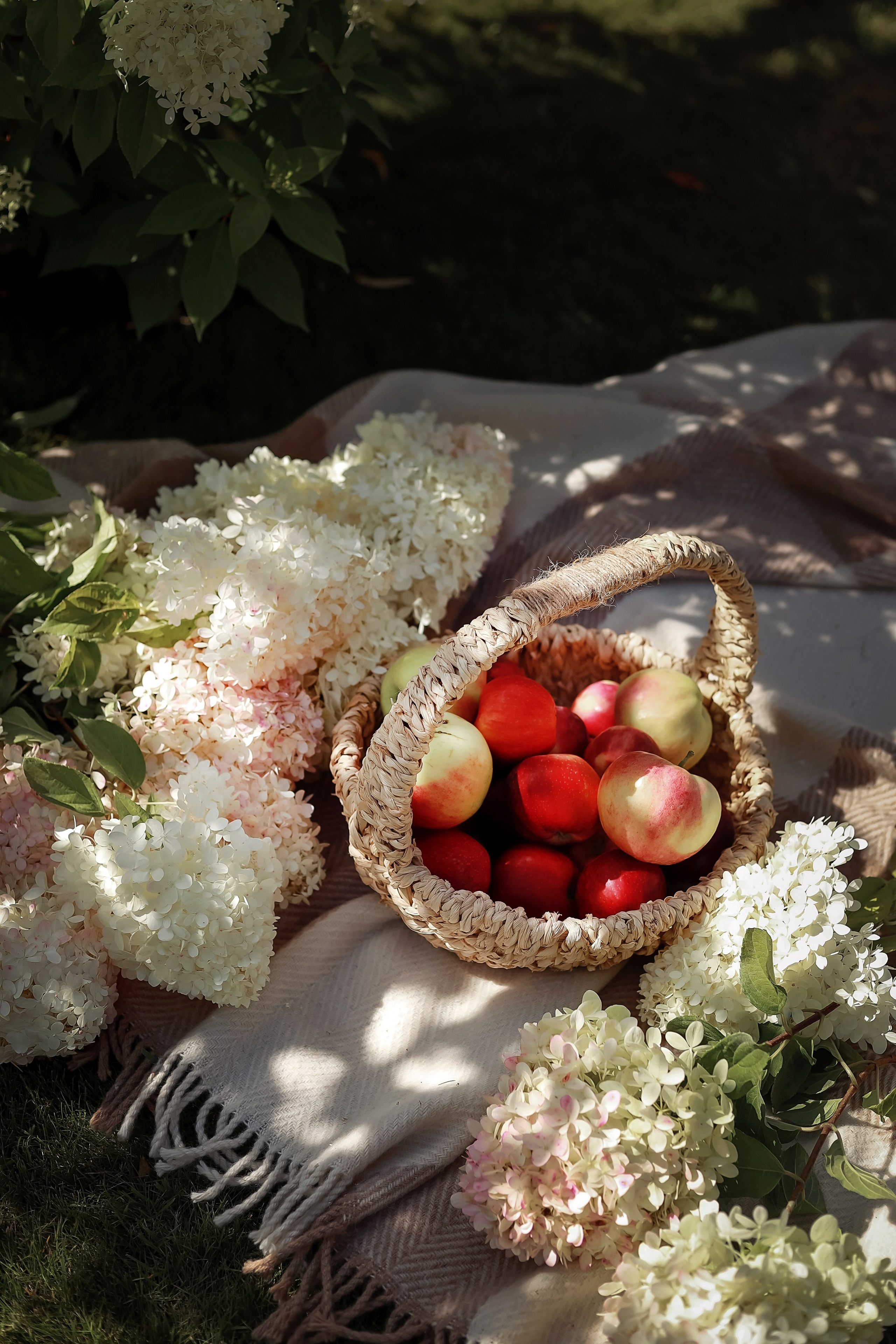 Елена и семья. Фотограф в Москве Ксения Мокрушина | Brand & Women photographer