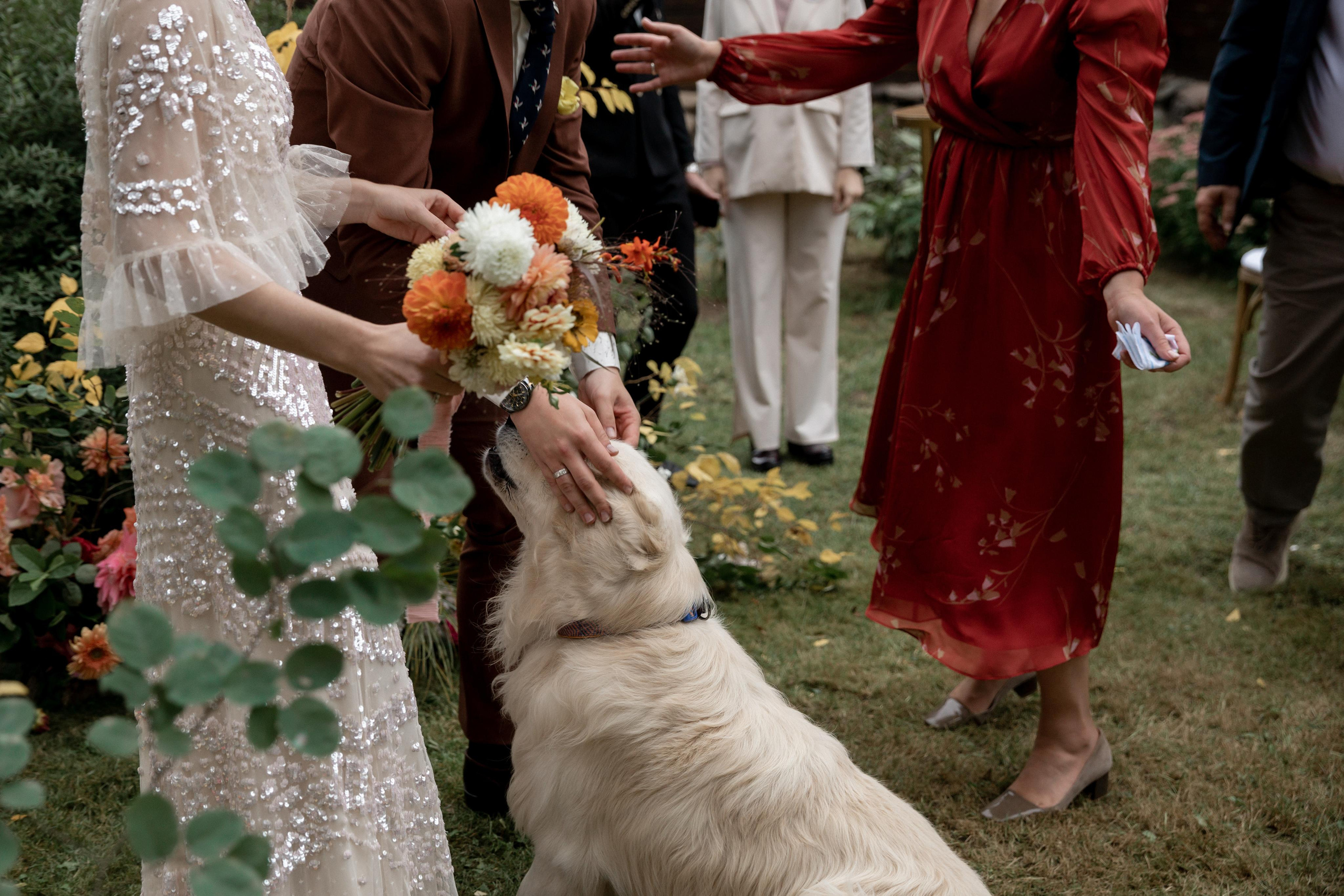 Арсений и Полина. Свадебный фотограф в Минске, свадебный фотограф в Грузии, свадебный фо