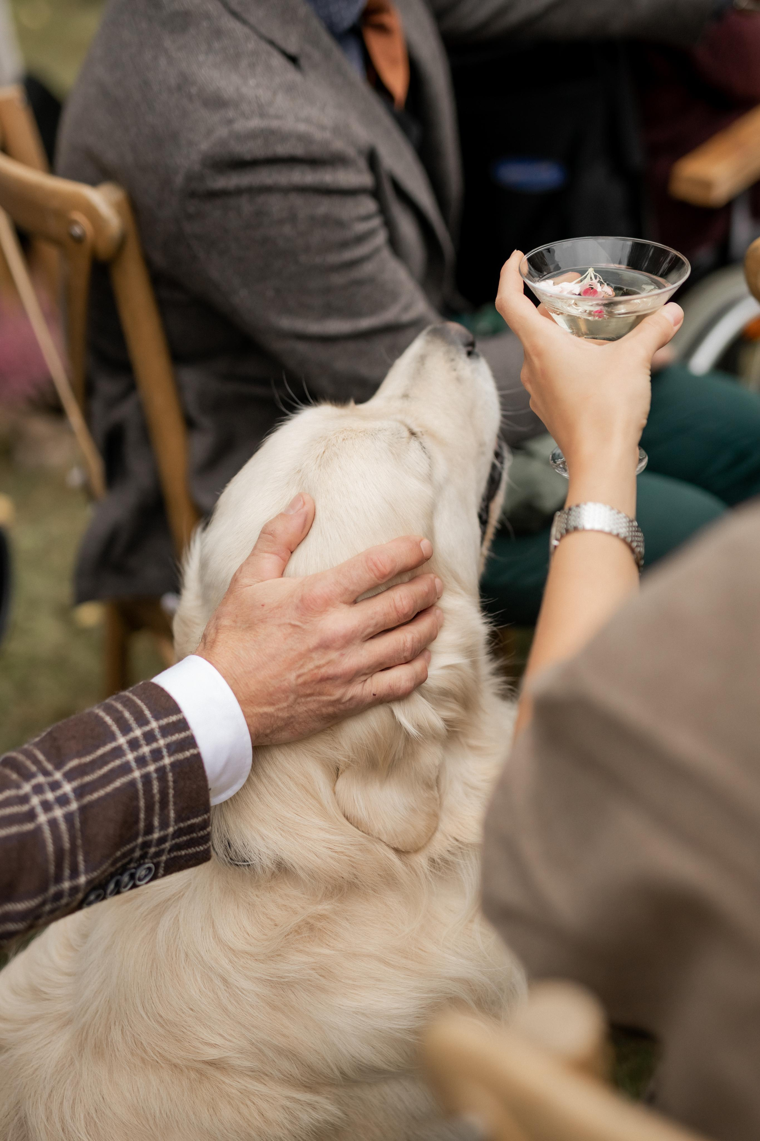 Арсений и Полина. Свадебный фотограф в Минске, свадебный фотограф в Грузии, свадебный фо