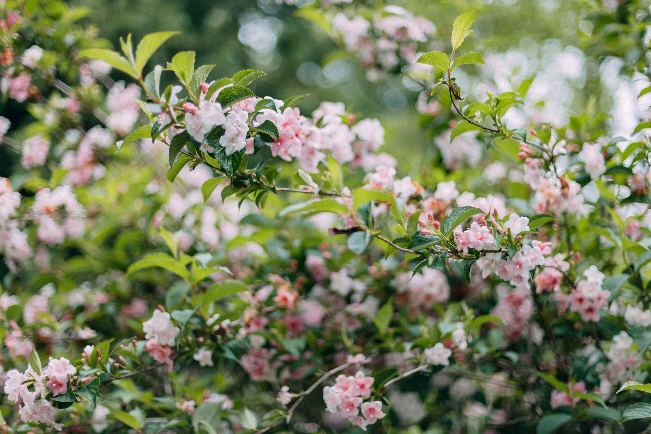 Сочи. Аня Степанова