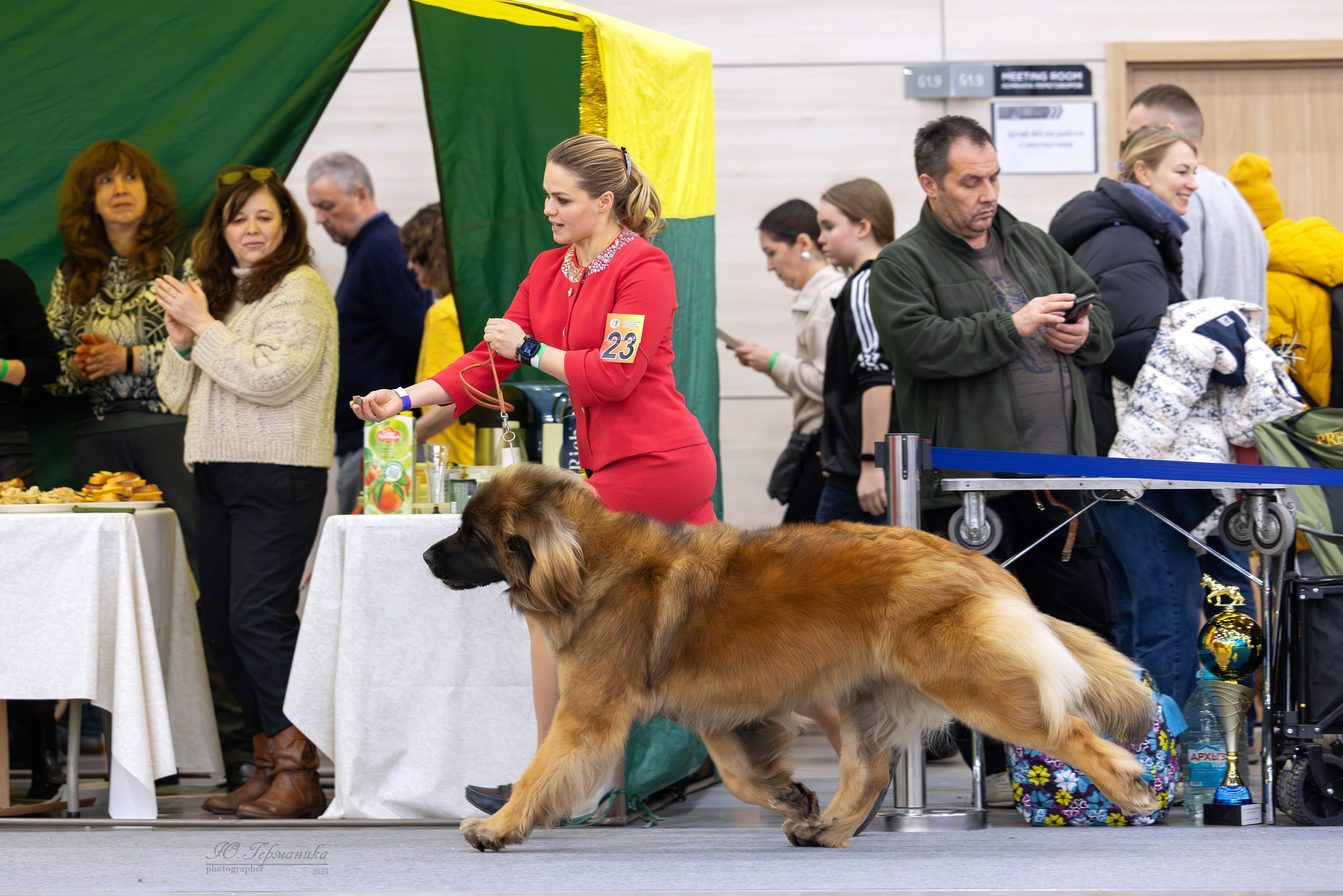 Питер 12-13.12.2025. Фотограф-анималист Юлия Германика