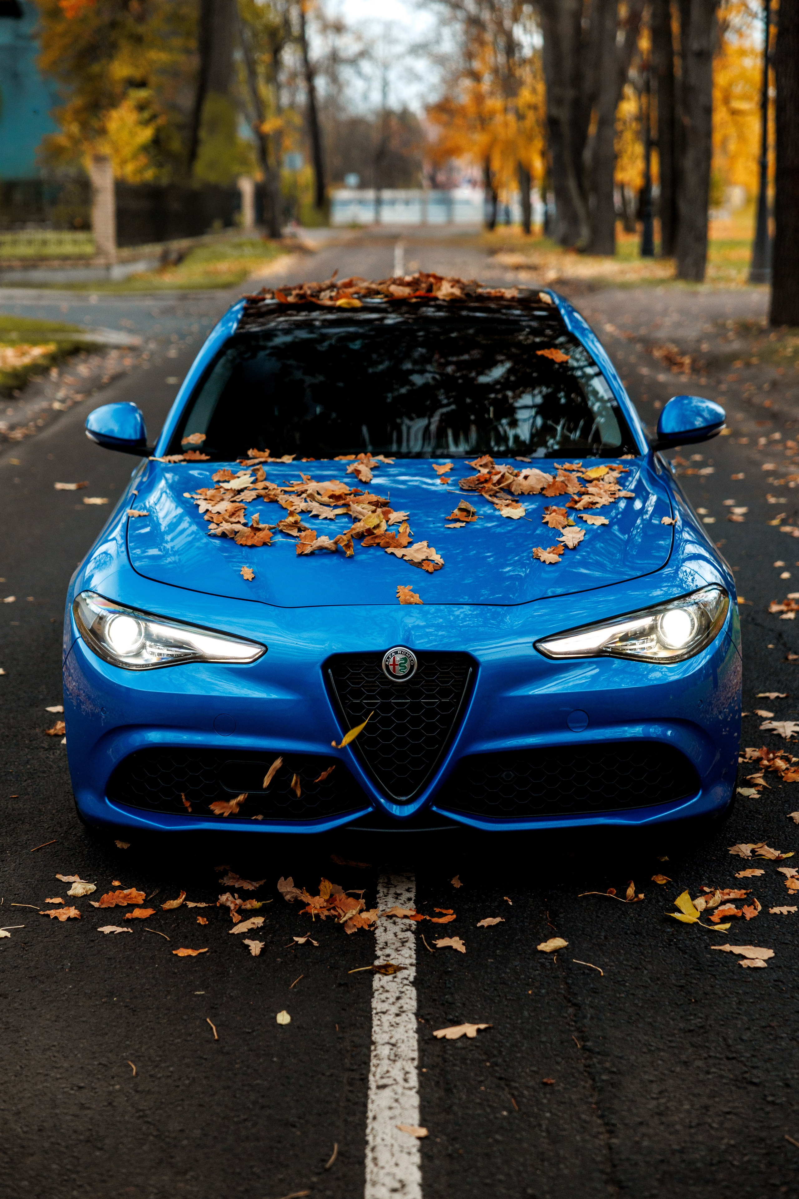 Авто. Фотограф Иван Петров