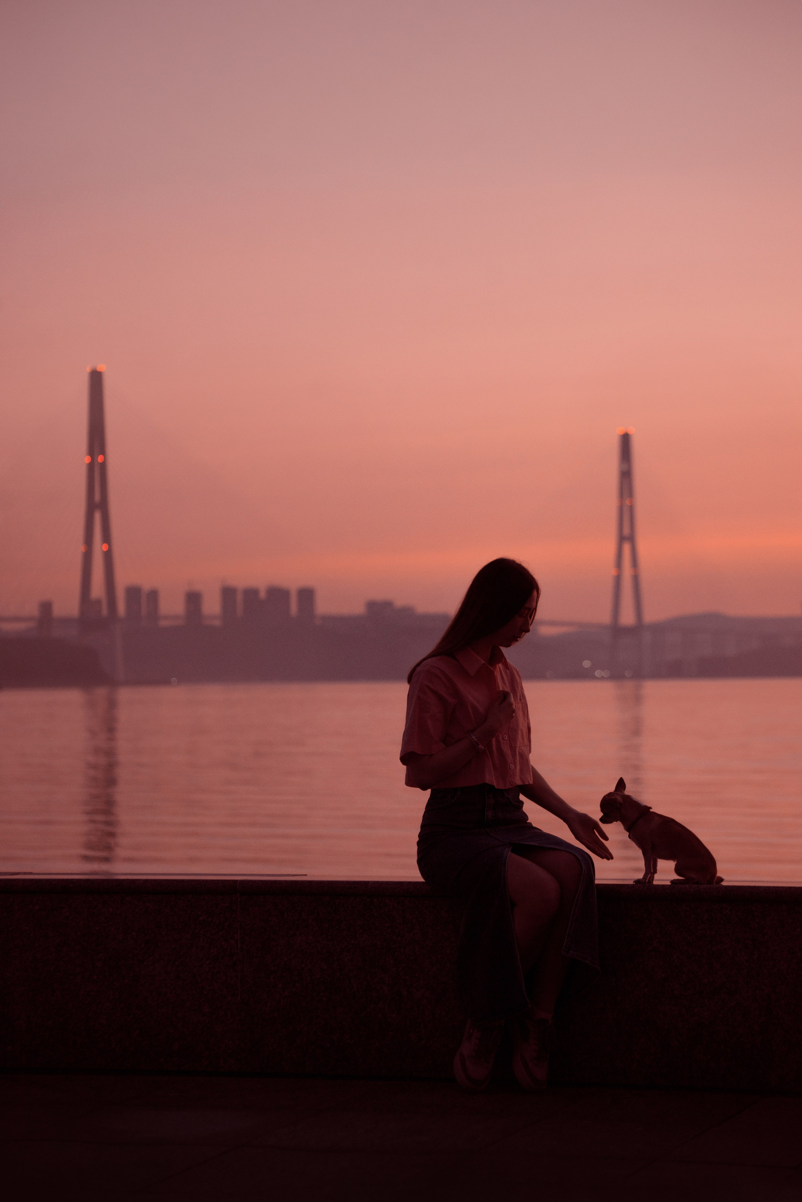 Прогулка: чихуахуа Хенни и Алина во Владивостоке. Портфолио