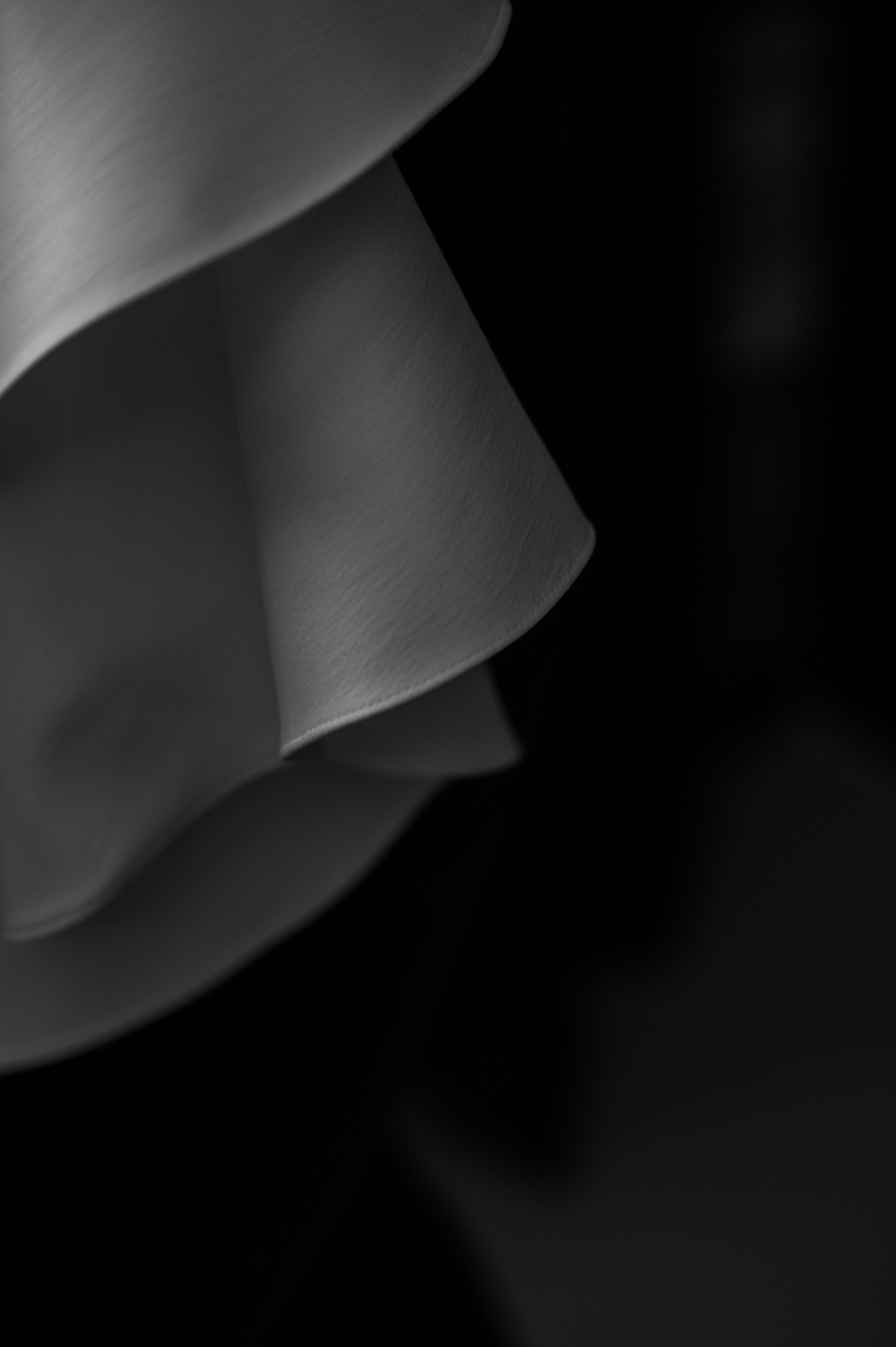 Поиграем в декаданс?. Свадебный и репортажный фотограф видеограф Брянск/Москва