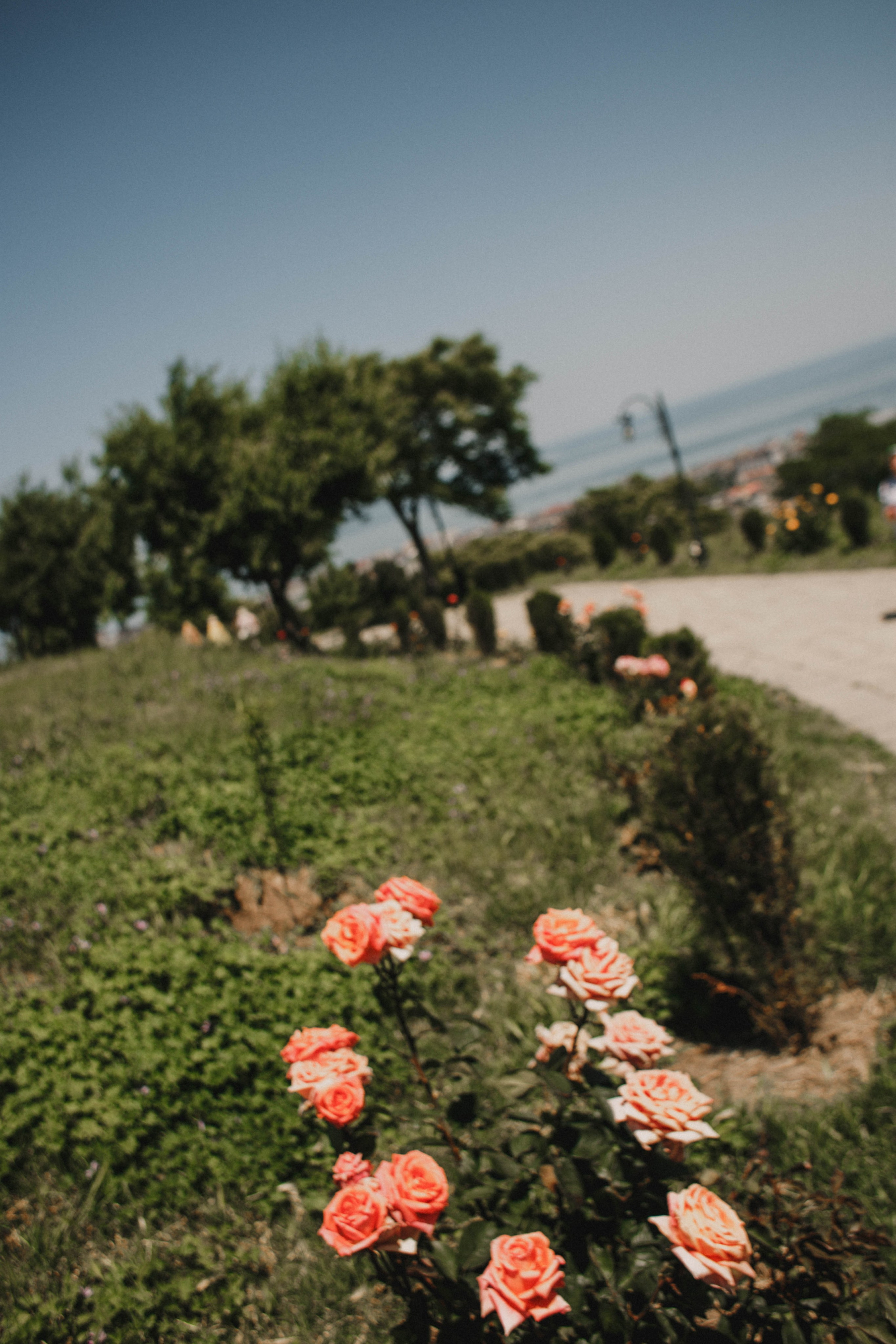 Дагестан. Чечня. 2024. Фотограф в Нижнем Новгороде