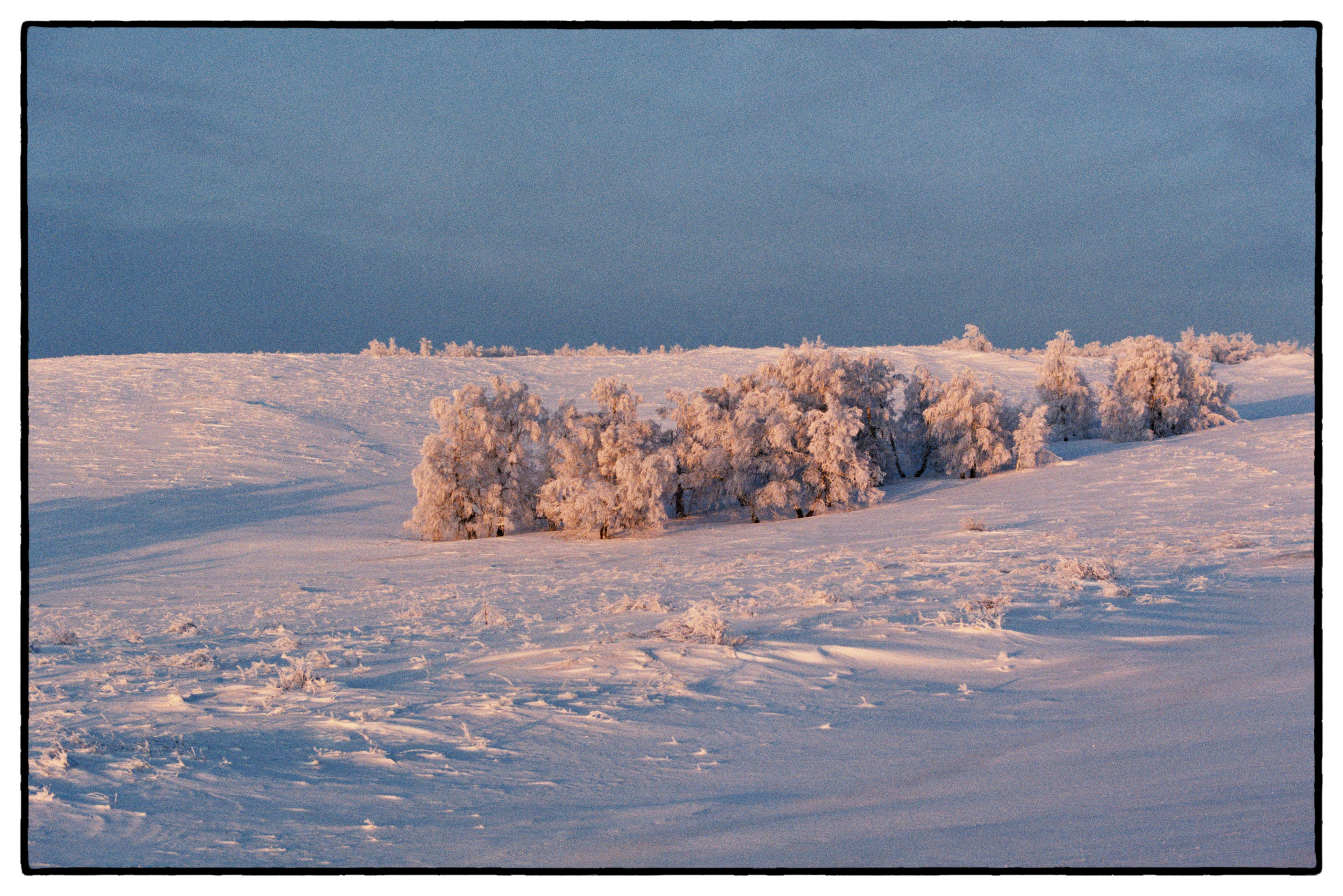 Природа. Фотограф Филякин Константин