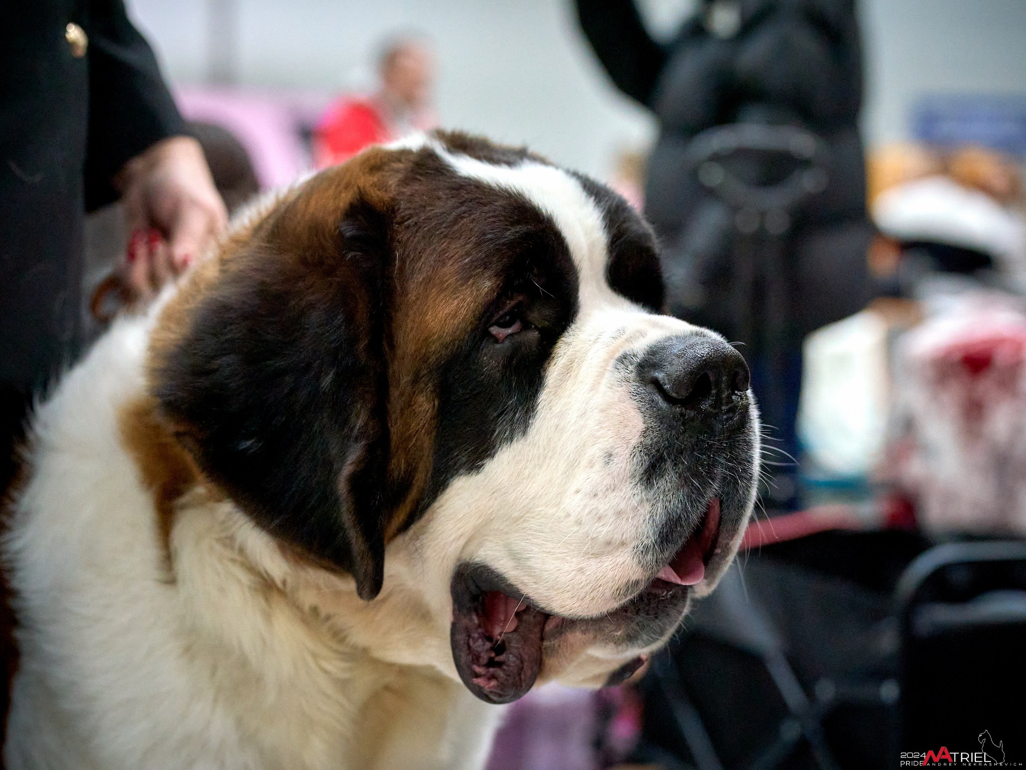 Съемка на выставке в Крокусе