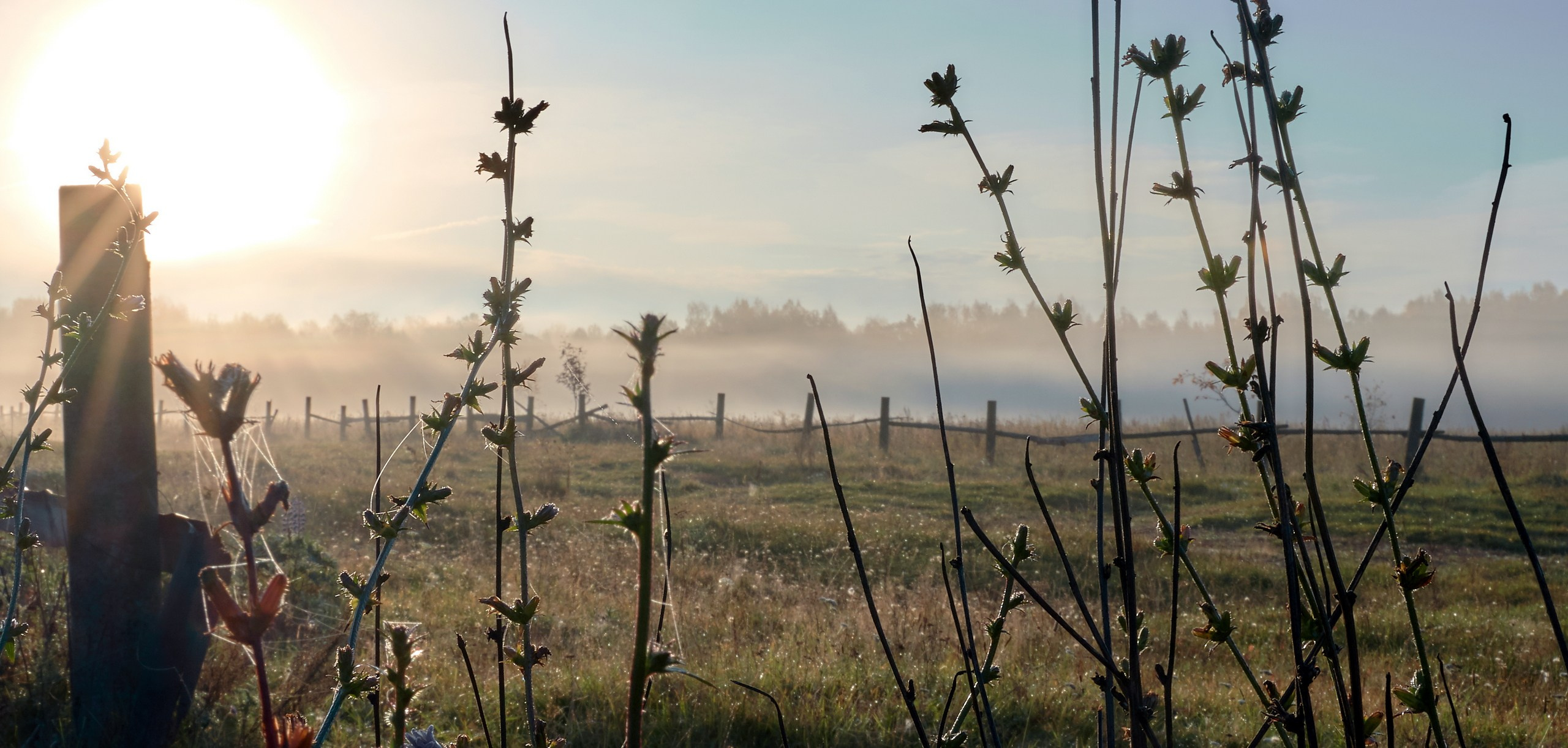 Пейзаж — галерея NATRIEL