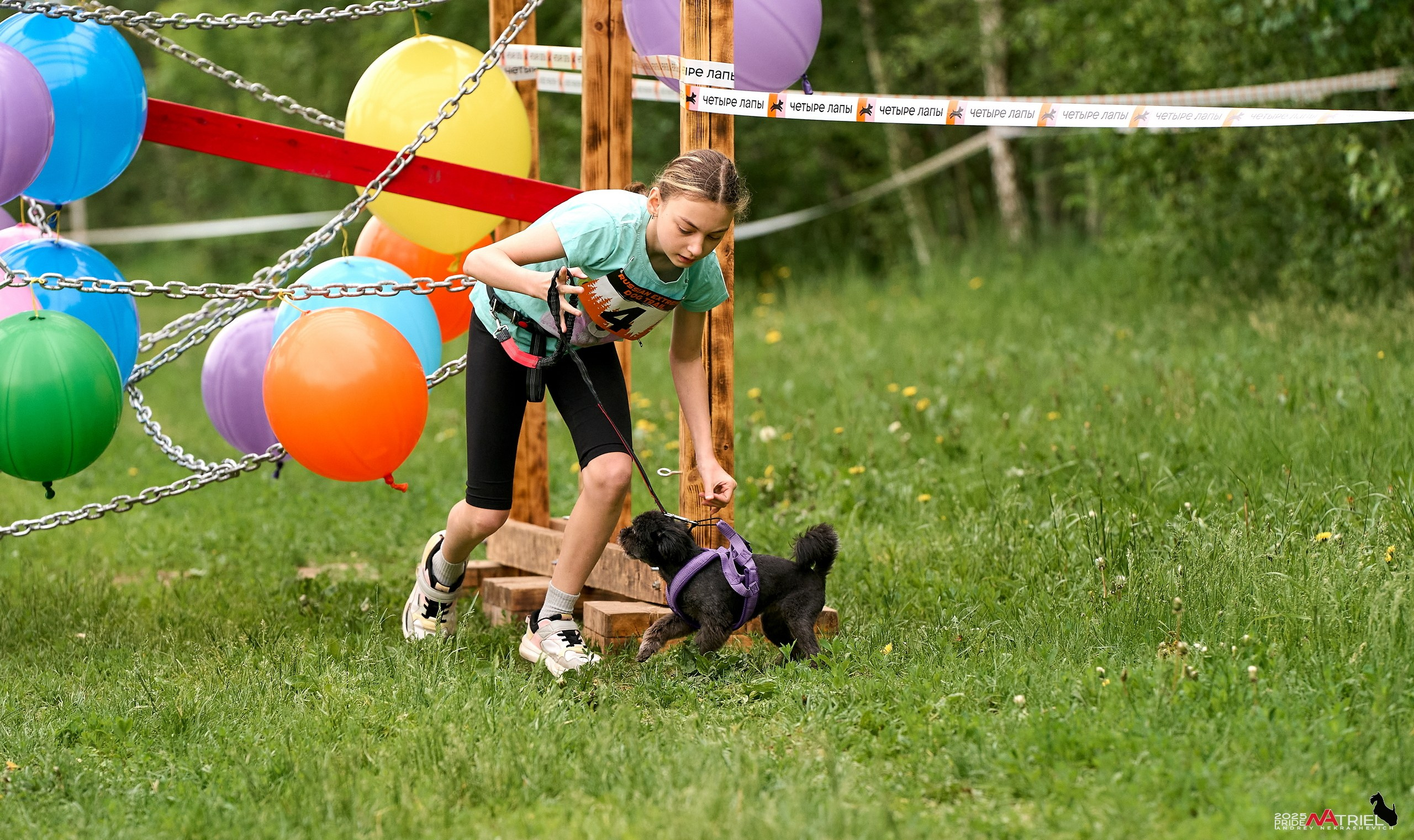 Russian Extreme Dog Trail — 2025