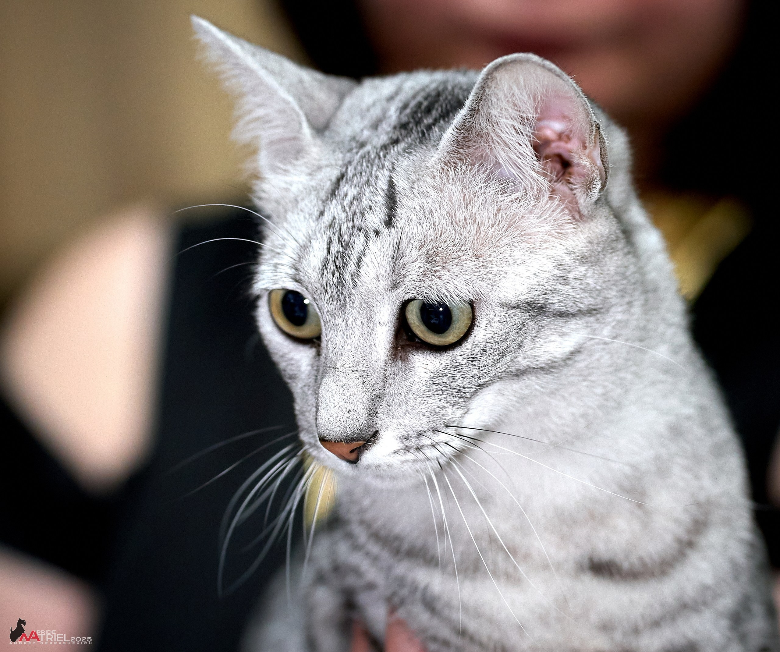 Репортаж с ЗООФЕСТ в Крокусе