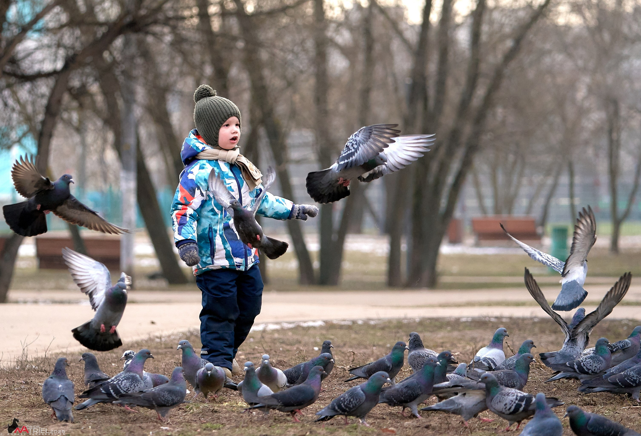 Фотопрогулка "вокруг дома"