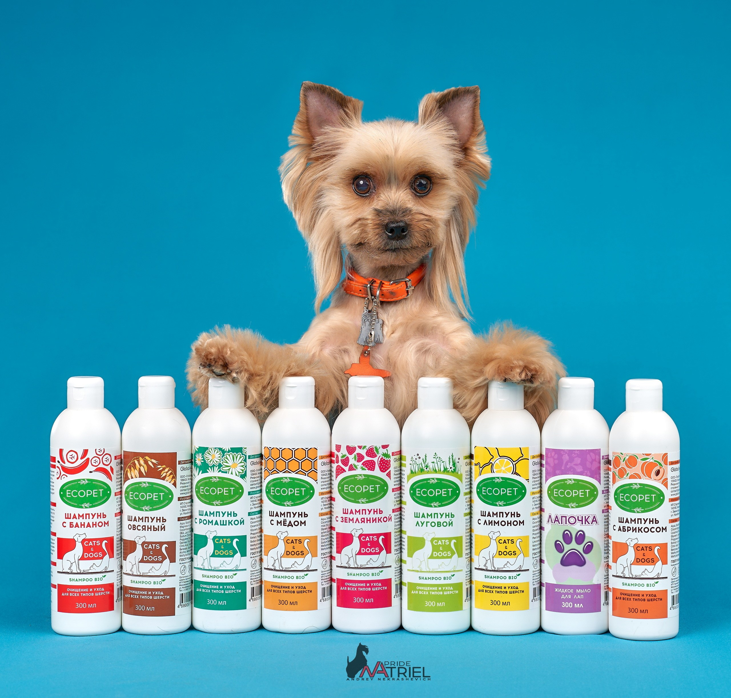 Реклама с животными — галерея NATRIEL