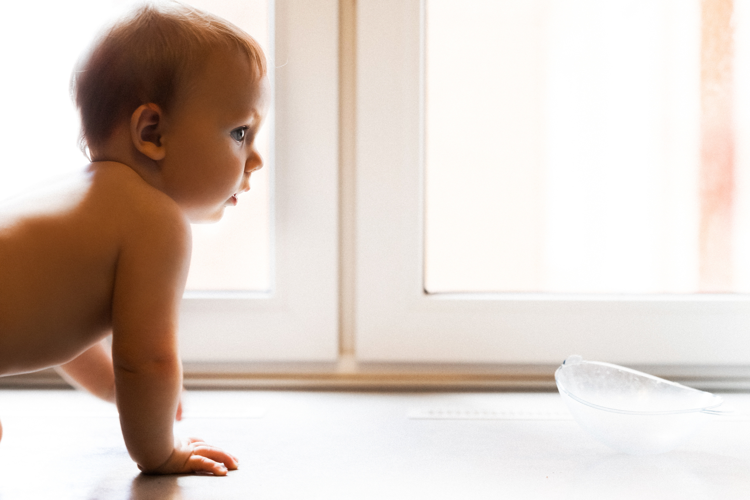 Маша Миша Макс (почти год). Свадебный и семейный Фотограф Денис Кошель