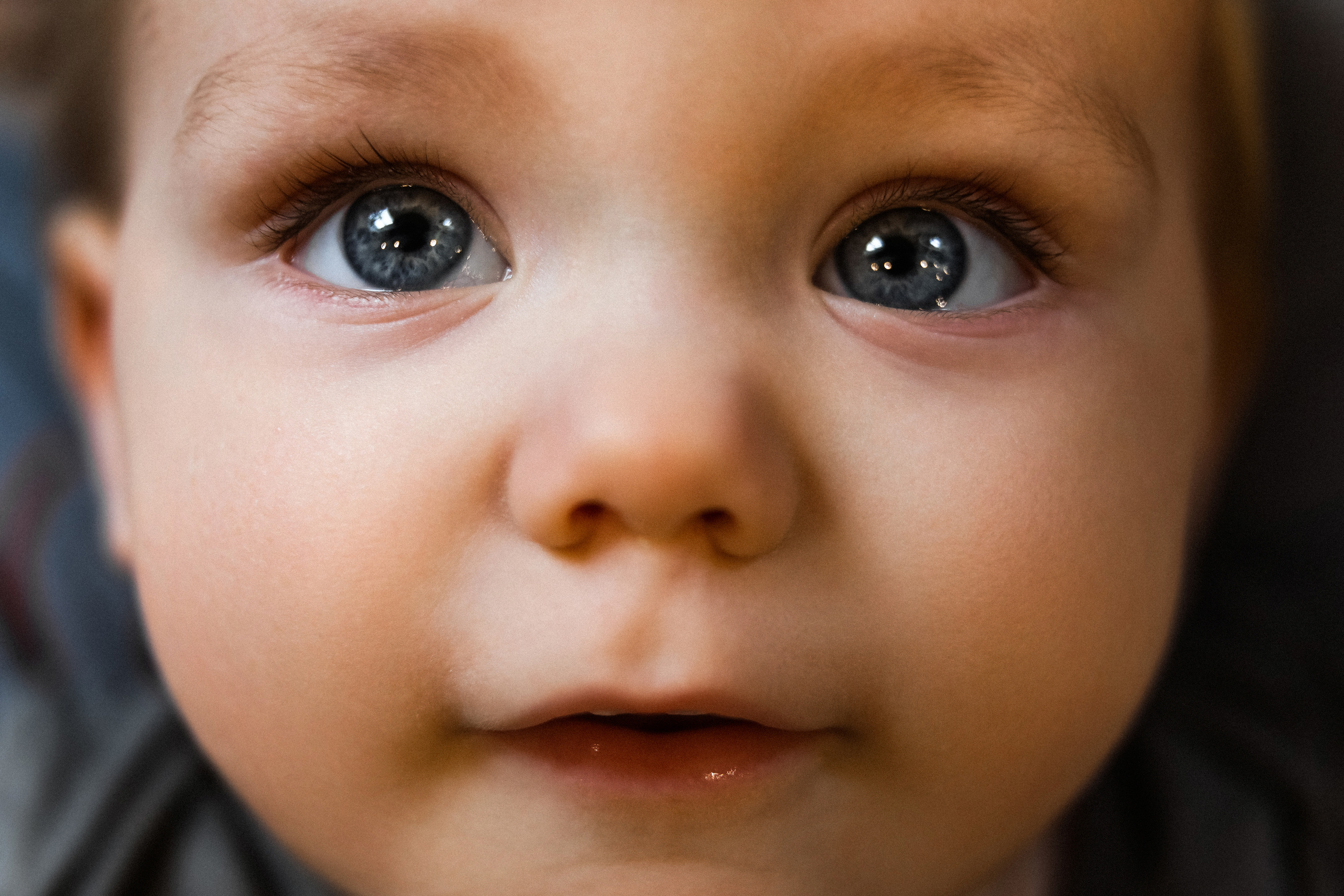 Маша Миша Макс (почти год). Свадебный и семейный Фотограф Денис Кошель