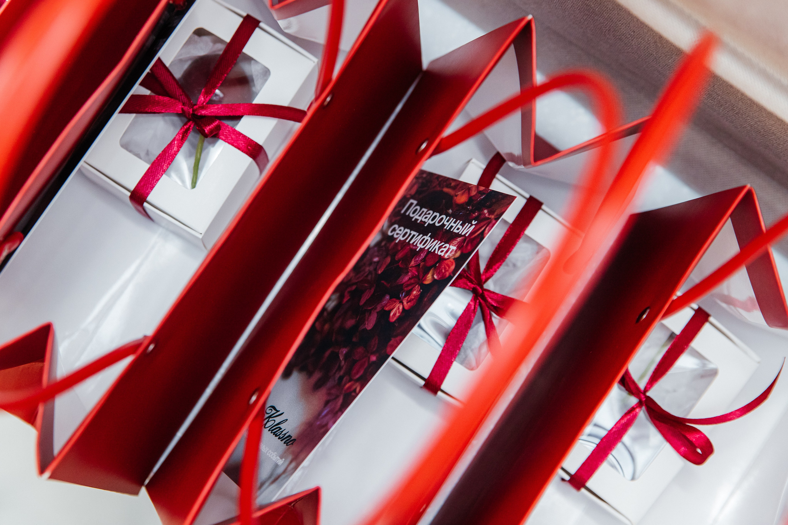 Открытие Atelier Jenya Pavlichenko. Vmeste.Klassno