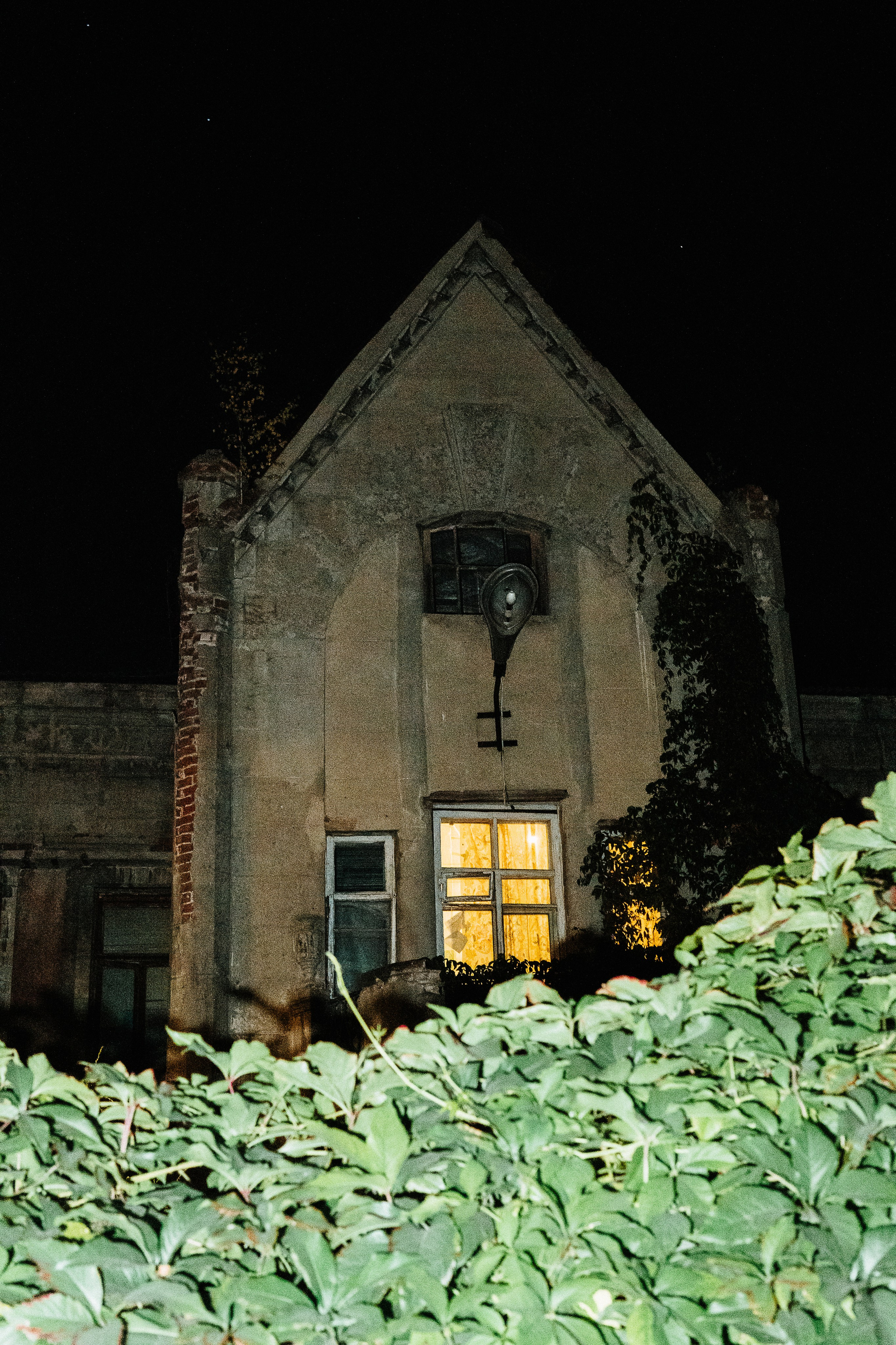 Дмитрий. Фотограф Алла Быкова