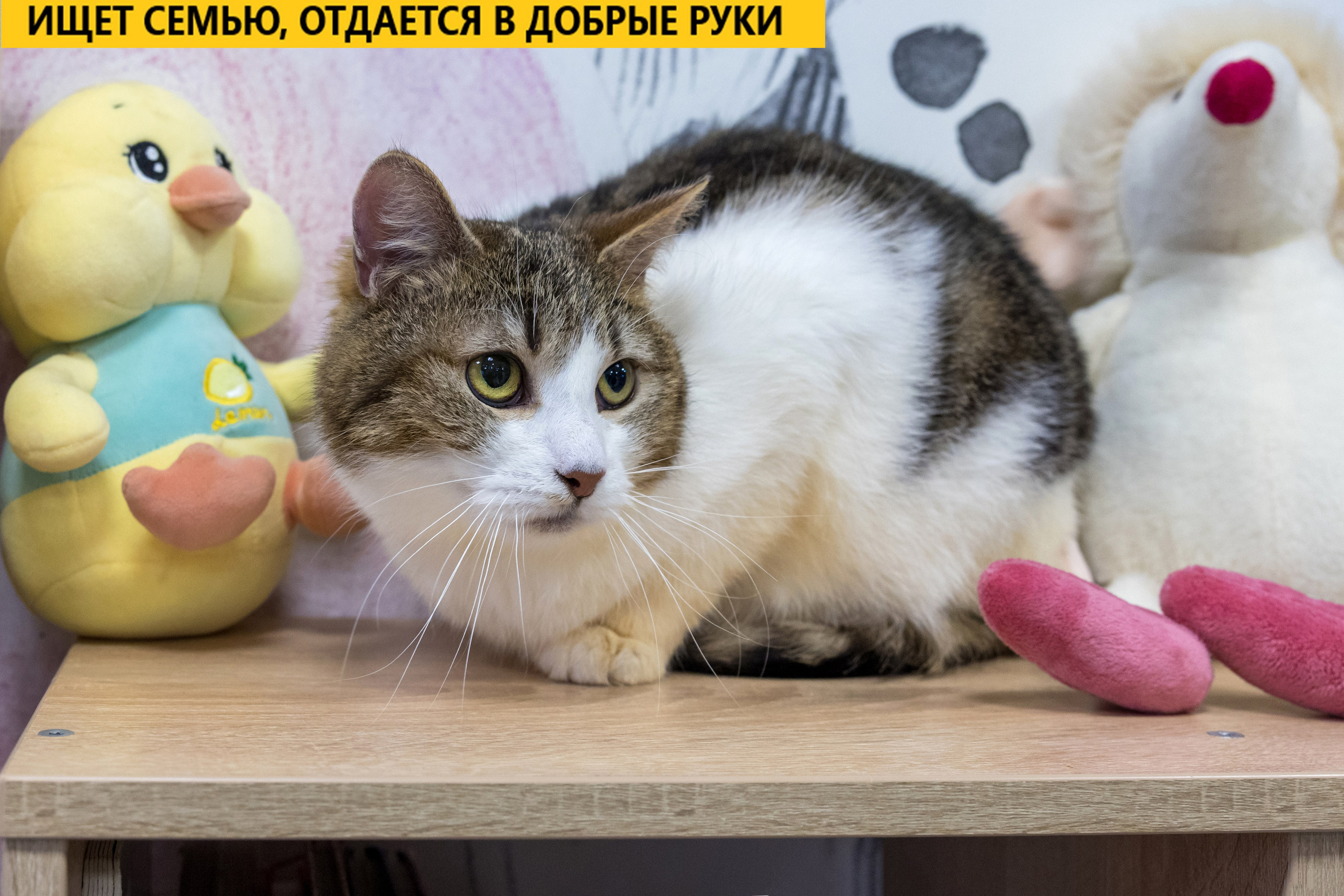 Рекламная съемка в Москве. Геннадий Степанов —фотограф в Москве