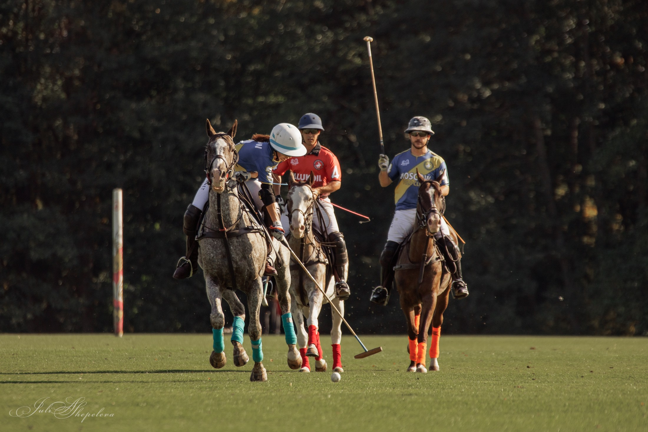 Осенний кубок по конному поло. Детская Конная фотография в Москве Юлия Шепелева