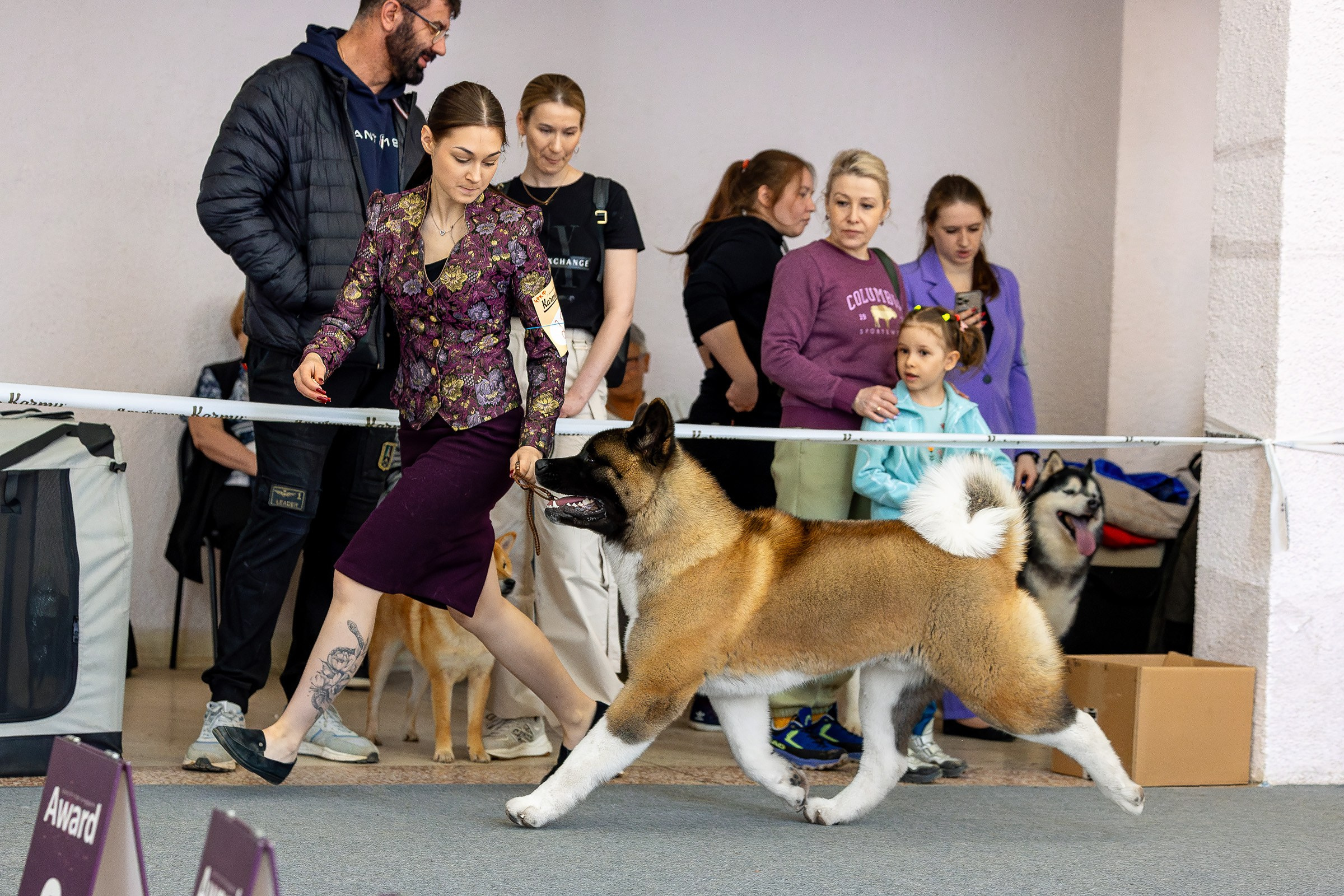 6 апреля 2025, Выставка РКФ, г. Пермь. Htykk_photo