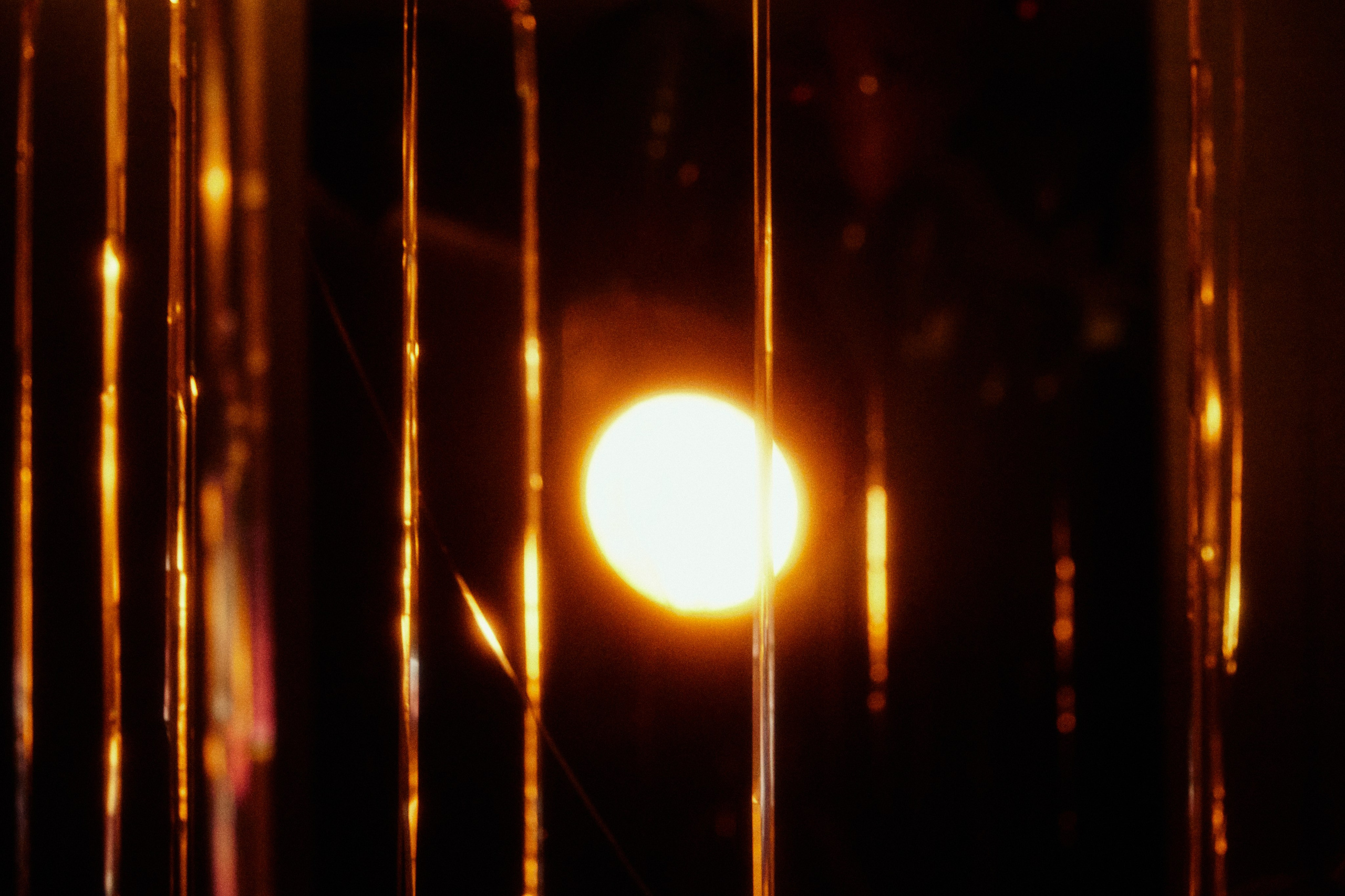 BACHELORETTE PARTY. Дмитрий Мазуркевич: Профессиональный Репортажный Фотограф