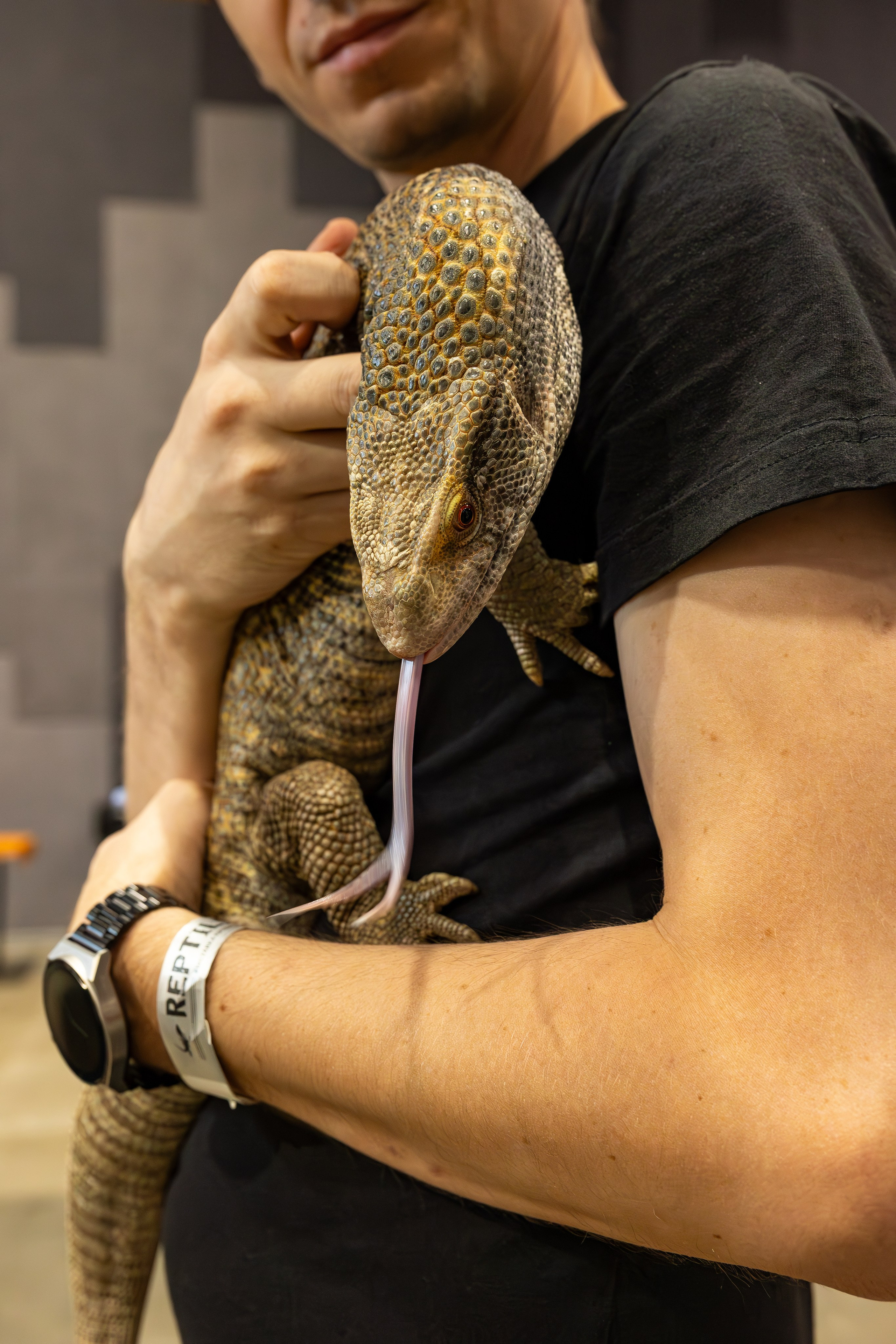 Рептилиум июнь 2025. Александра Куликова фотограф, Москва