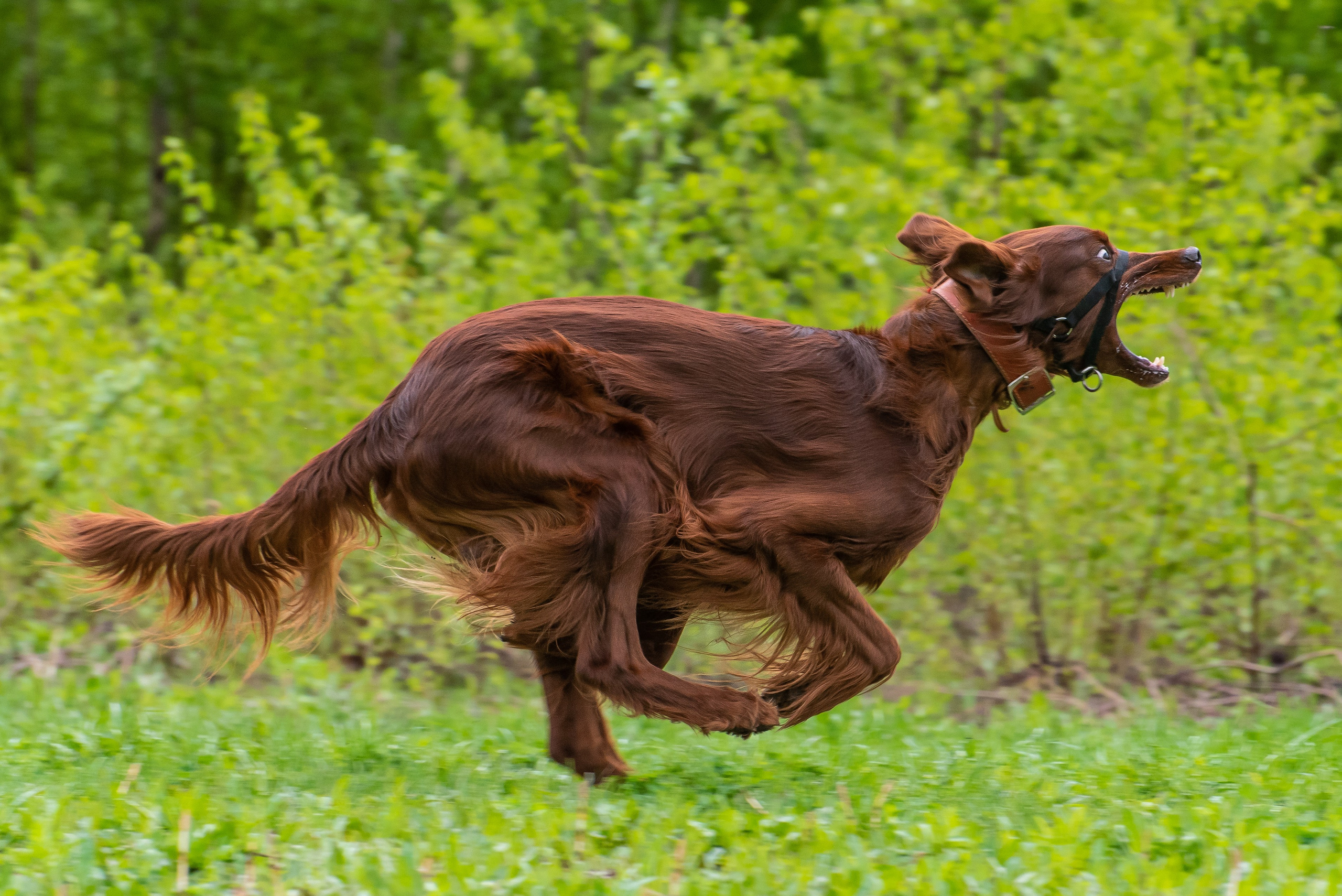Фотографии с Курсинга. Фотограф Макс Огурцов в Нижнем Новгороде