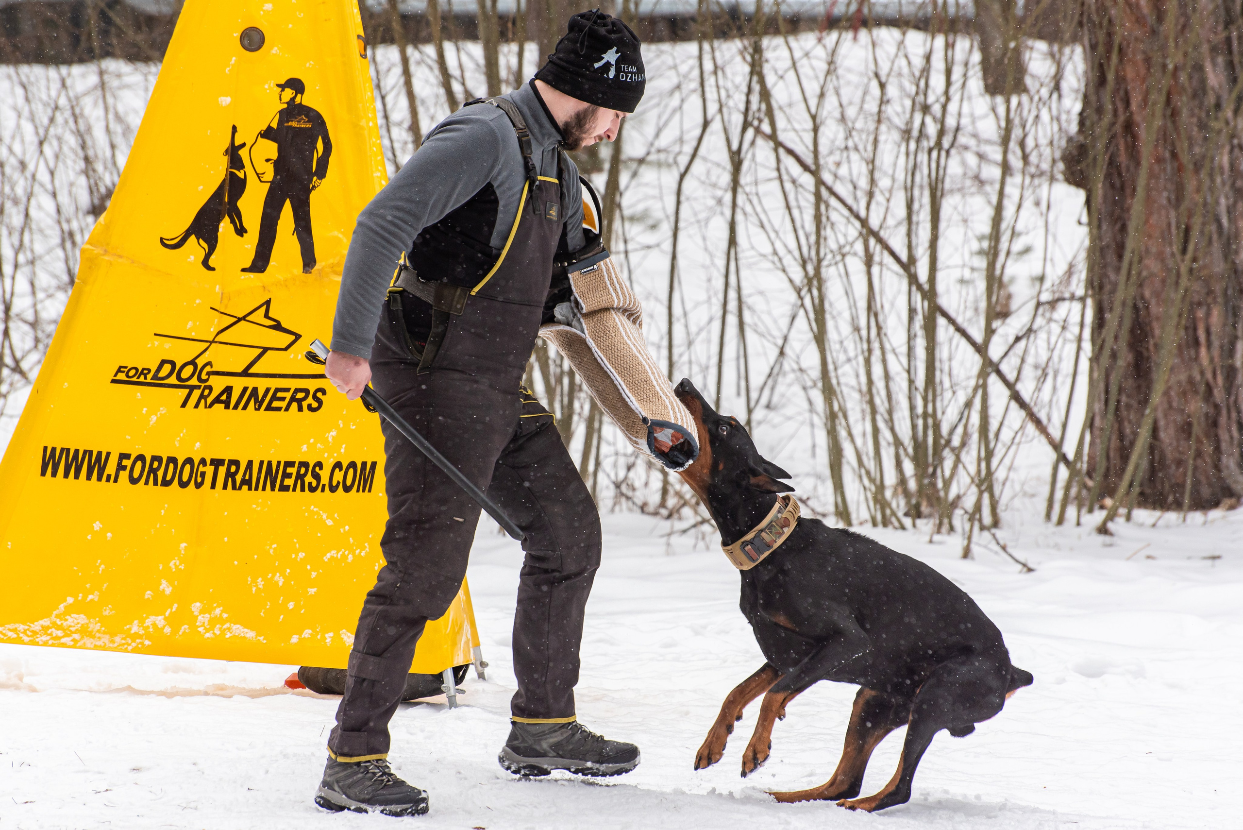 Фотосъёмка с собаками в Кинологическом лагере. Фотограф Макс Огурцов в Нижнем Новгороде