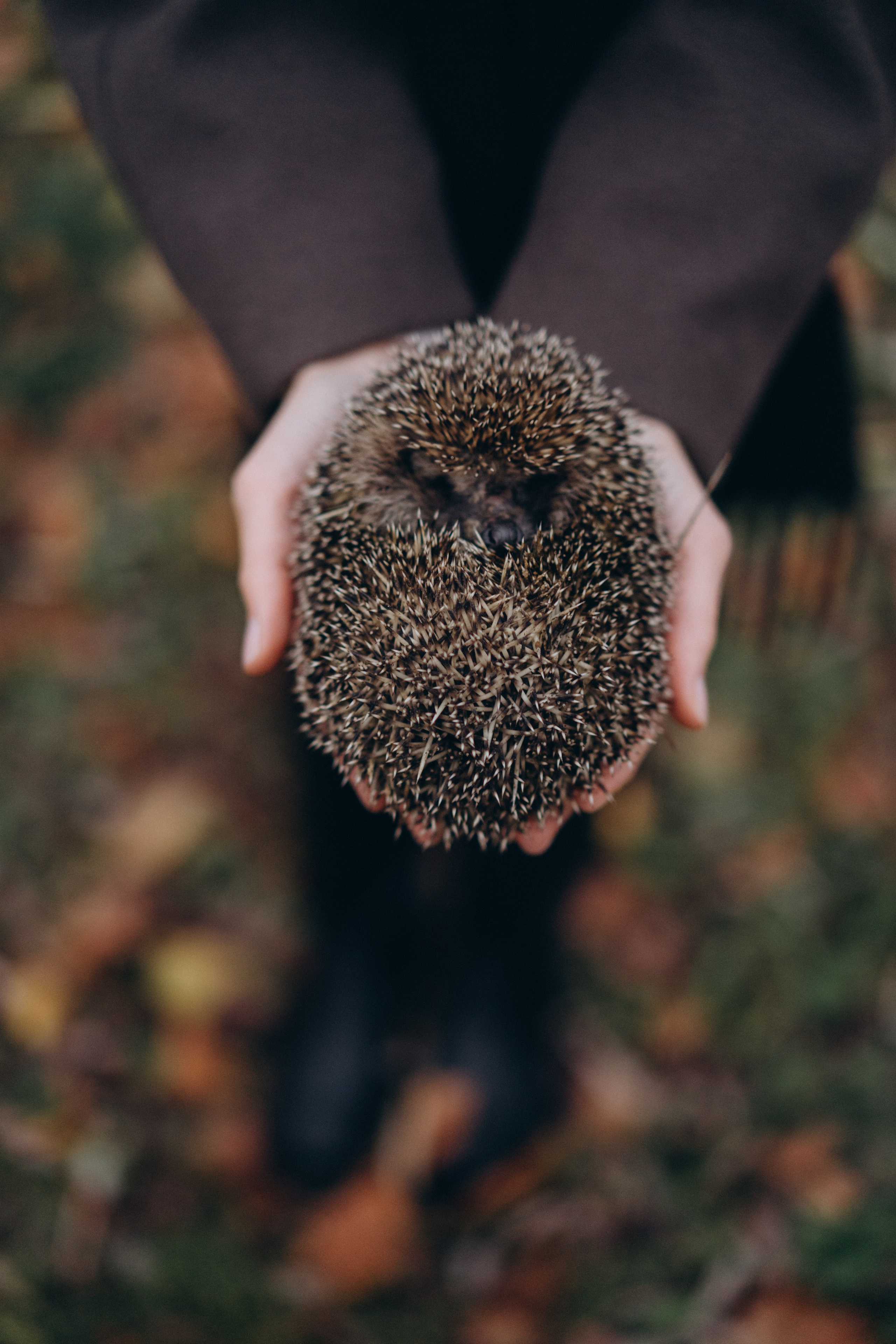 Лиза Фирстова — самый добрый фотограф