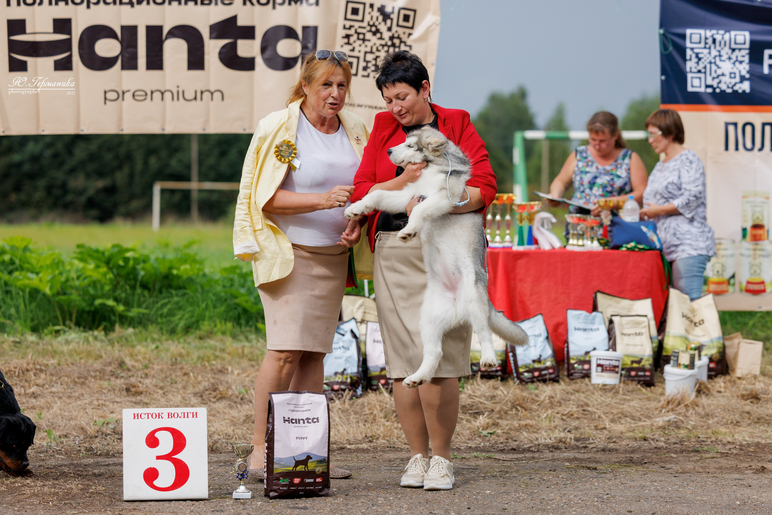 Тверь 10.08.2025. Фотограф-анималист Юлия Германика