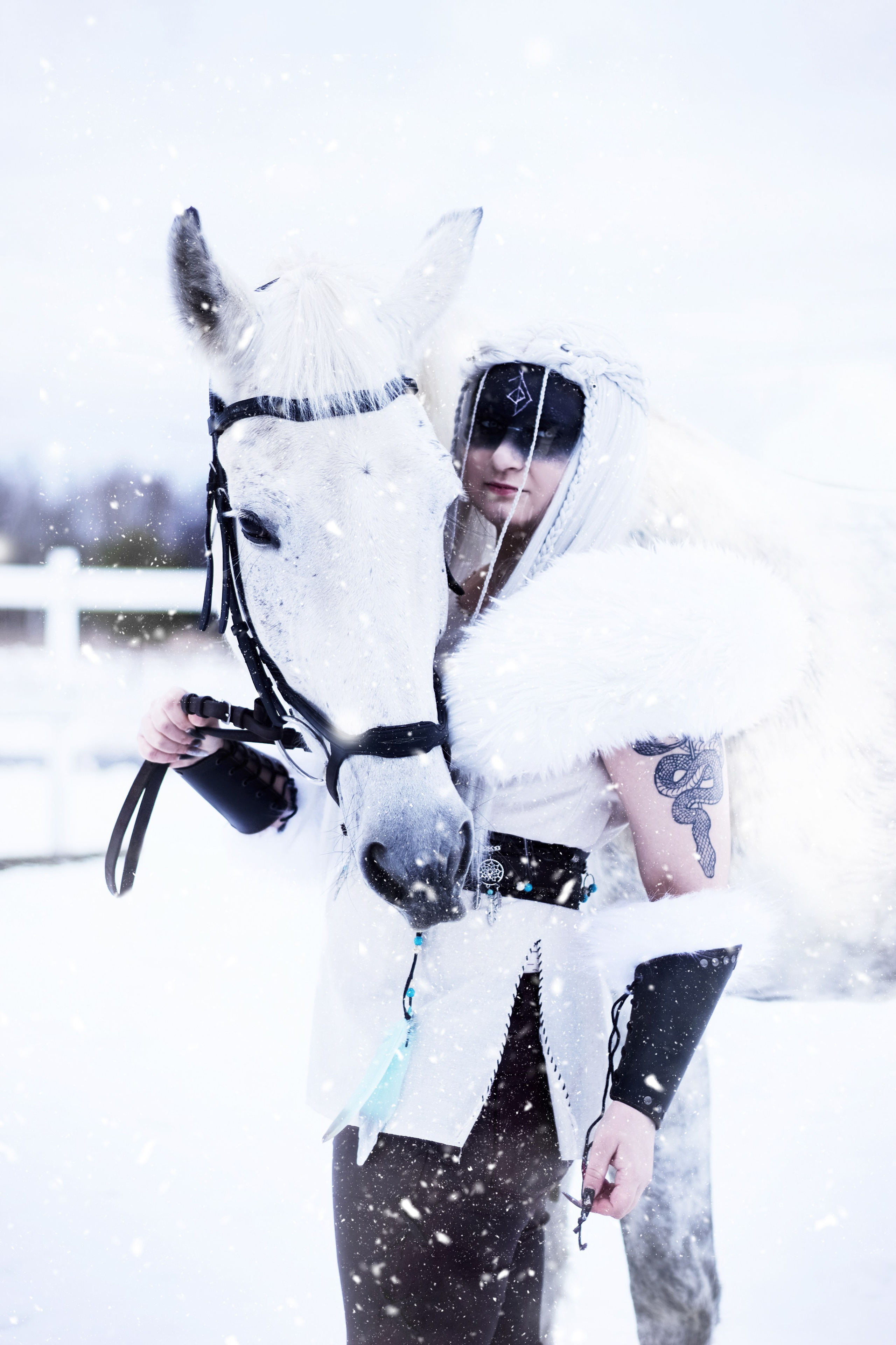 Фотосессии с лошадьми. Фотограф анималист — Тула, Москва