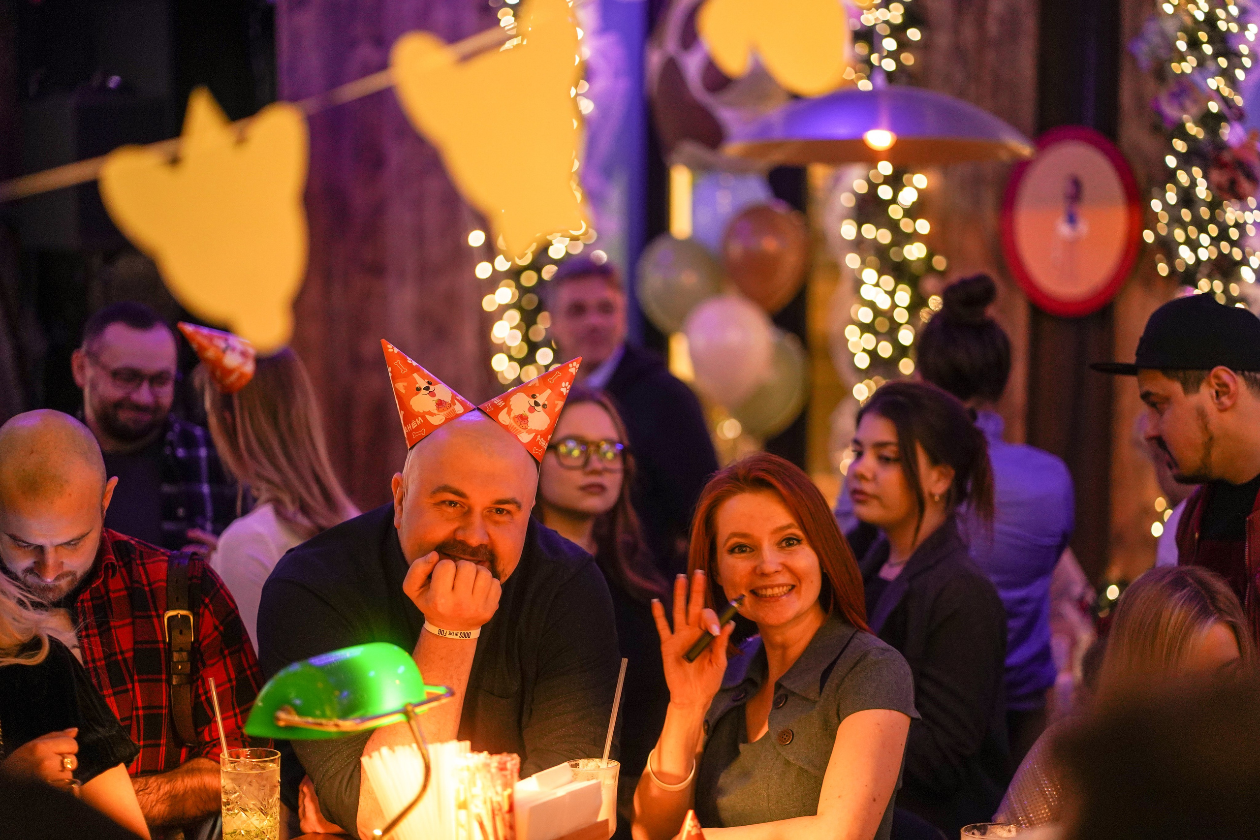 Бар Собаки в тумане. Фотограф